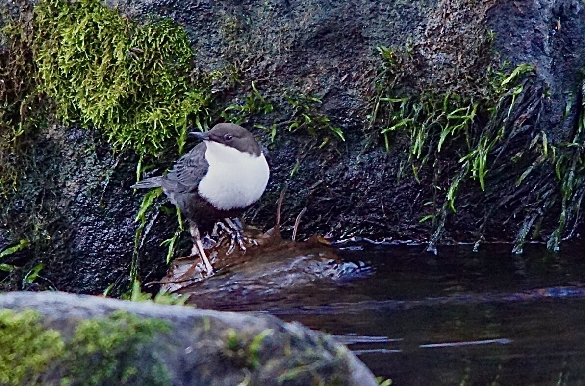 Valokuvaaja: Markku Ranta-Eilola