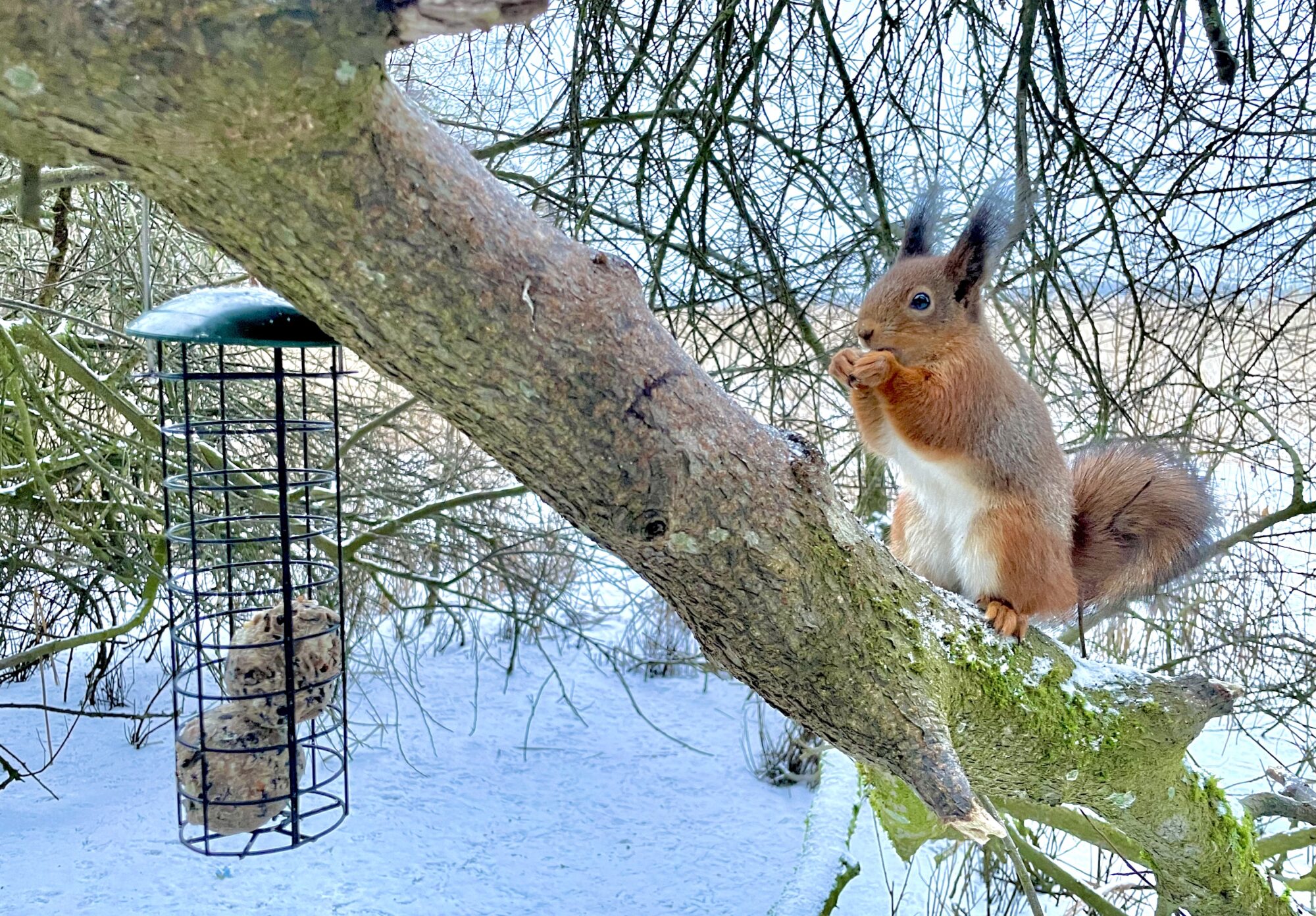 Valokuvaaja: Juhani Peltonen