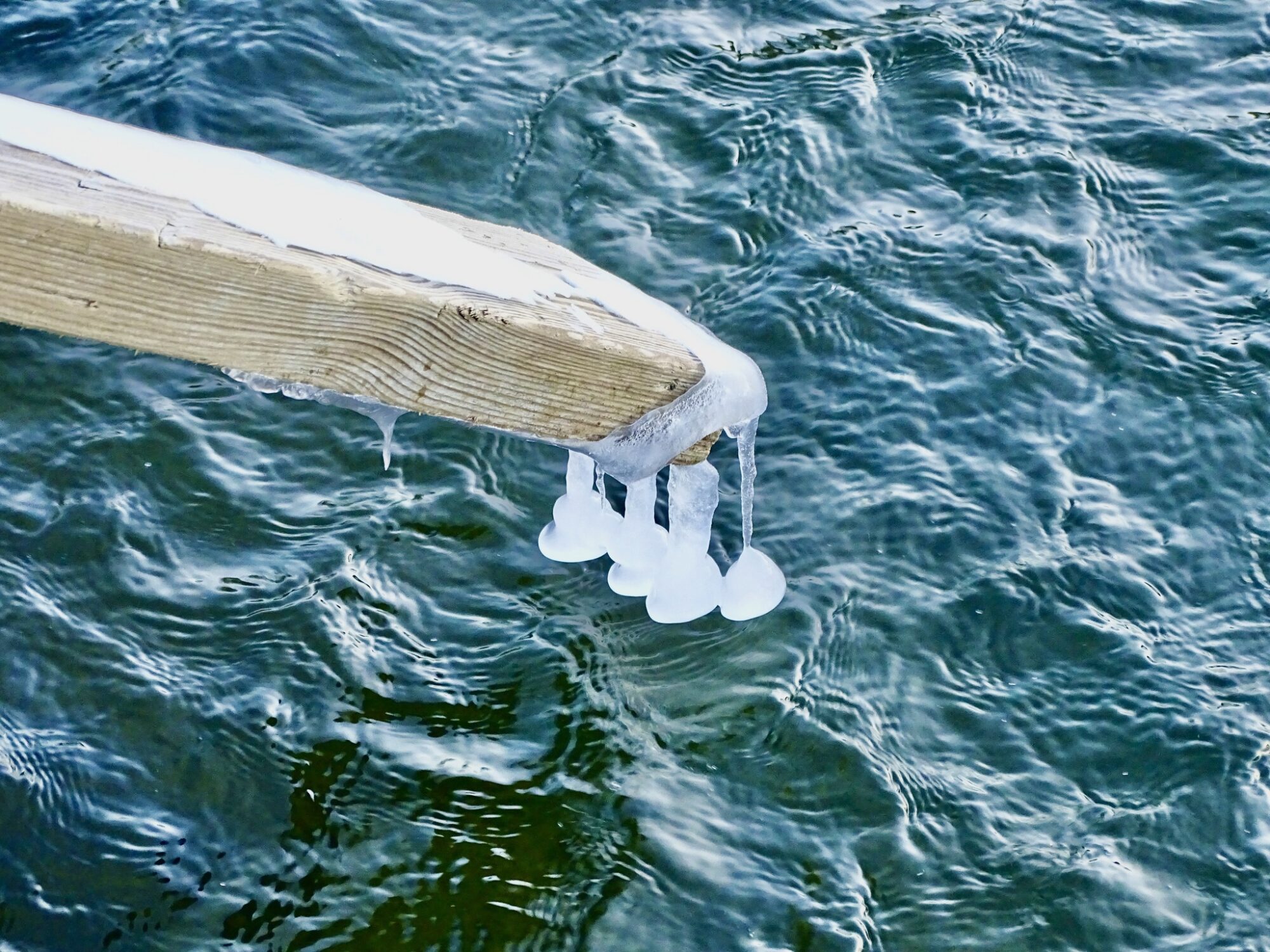 Valokuvaaja: Juhani Peltonen