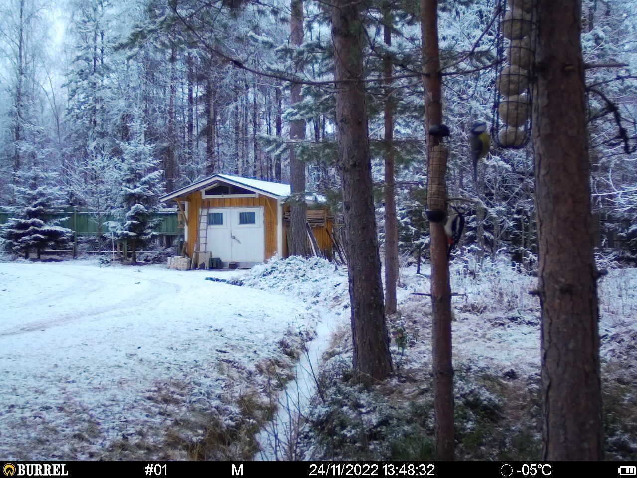 Valokuvaaja: Tarja Ruuska Valokuvaaja: Tarja Ruuska