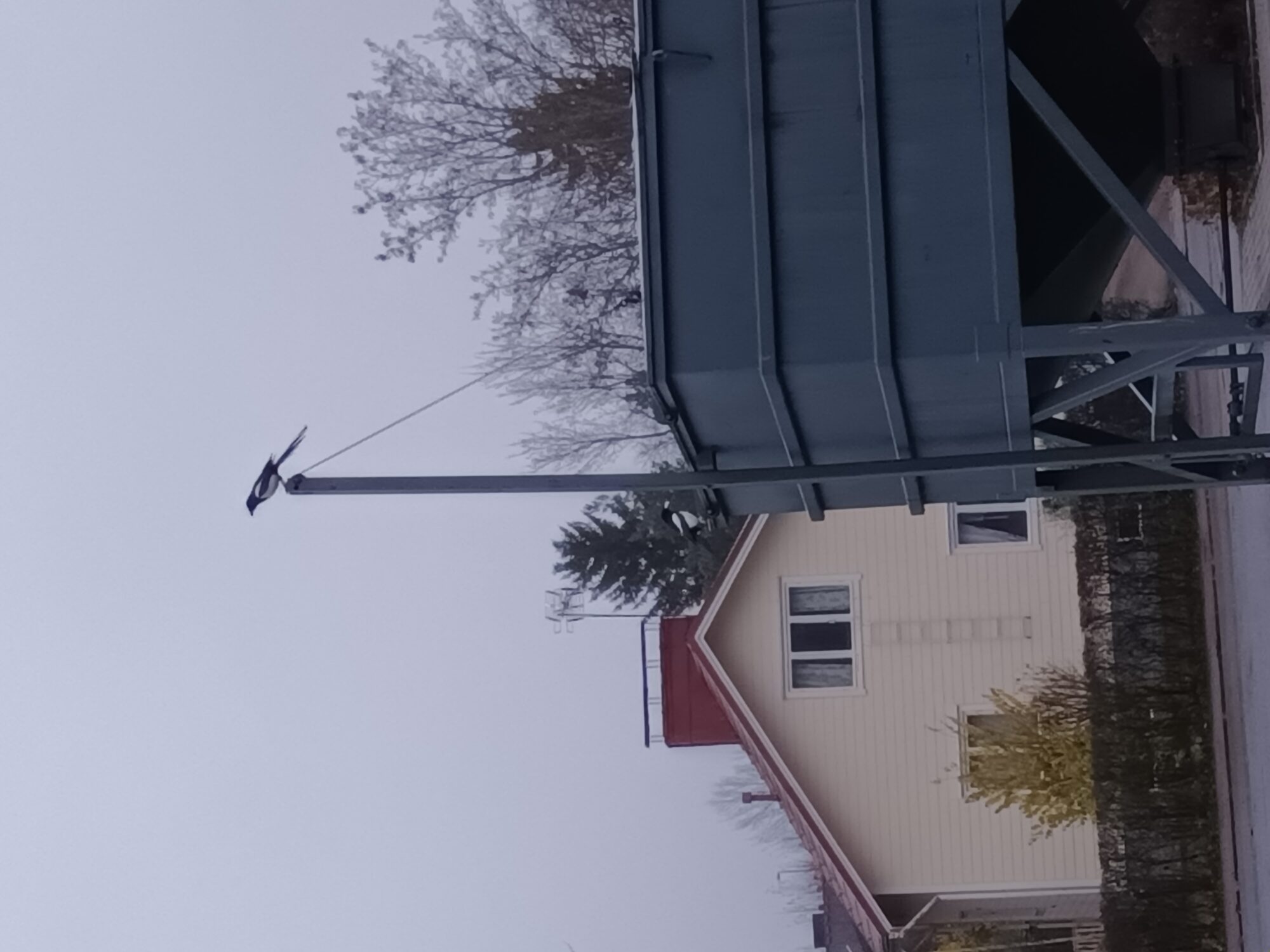 Valokuvaaja: Alvar Ilmonen