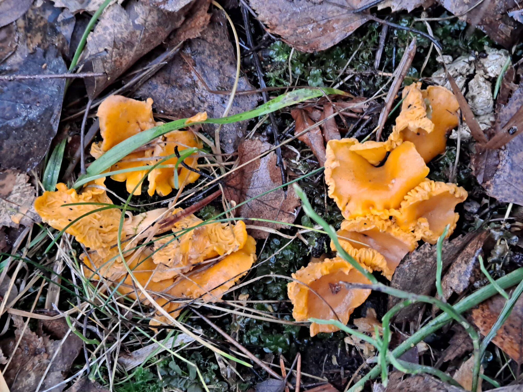 Valokuvaaja: Satu Suuntala