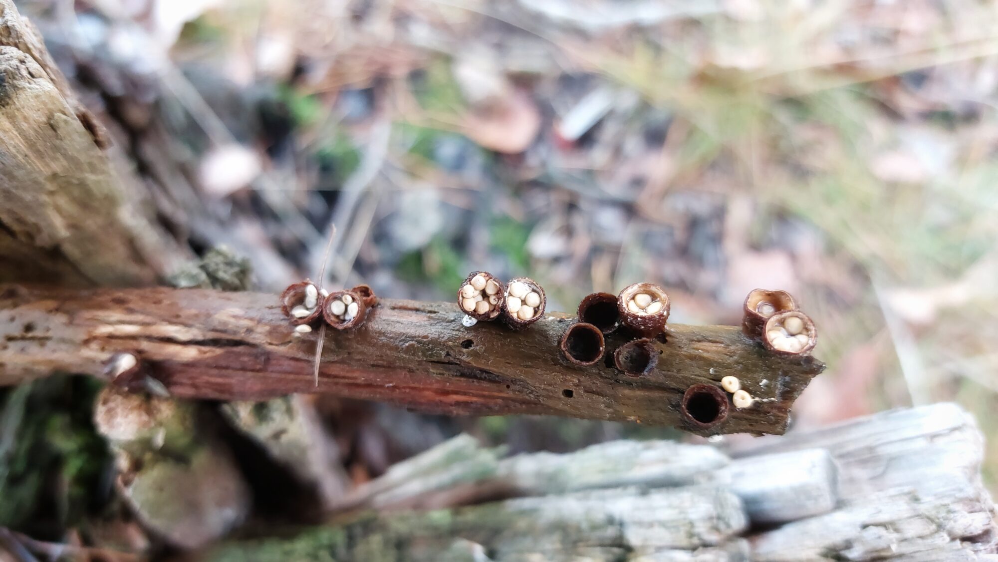 Valokuvaaja: Susanna Hannula