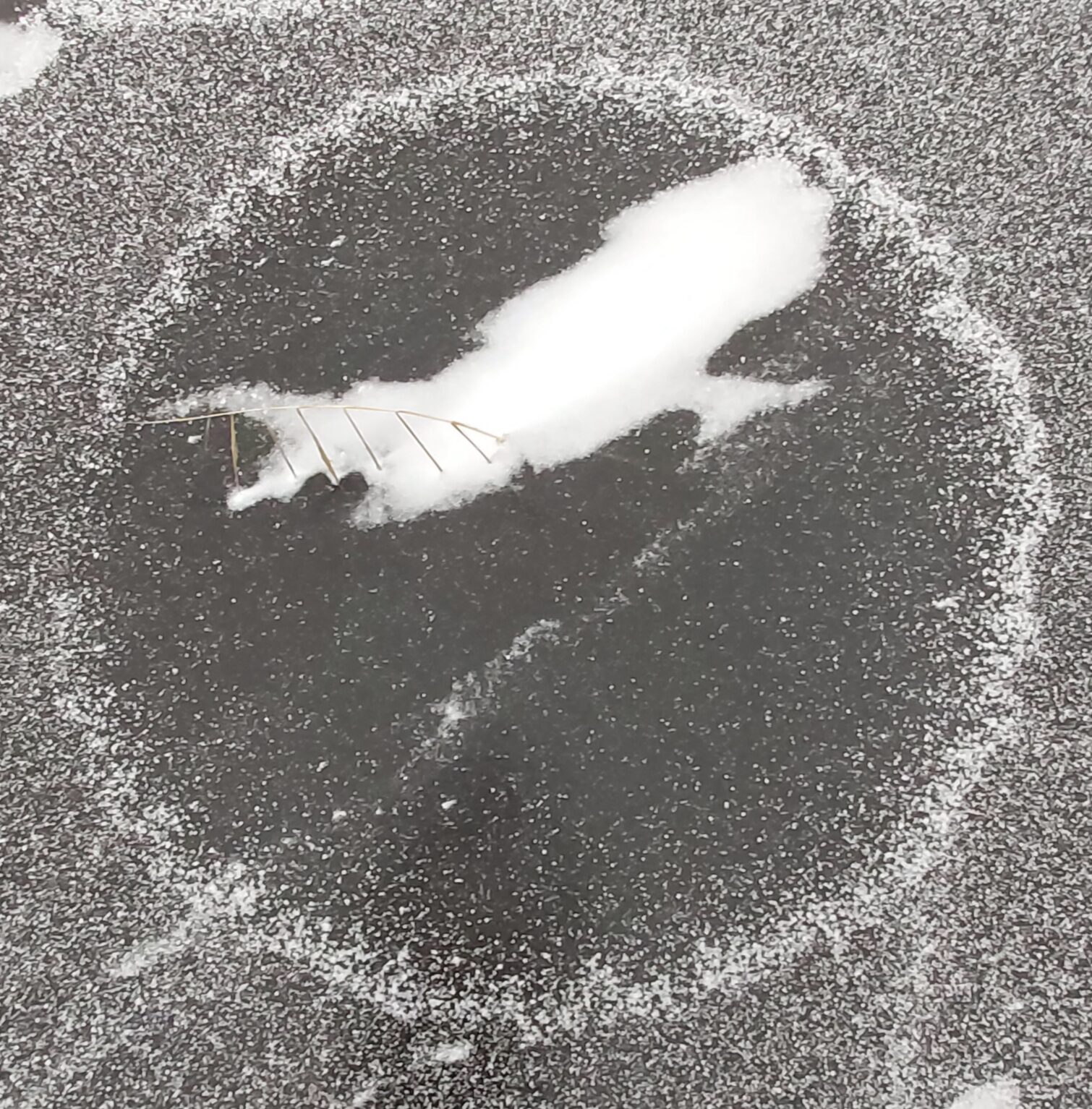 Valokuvaaja: Kaisa Marila Valokuvaaja: Kaisa Marila