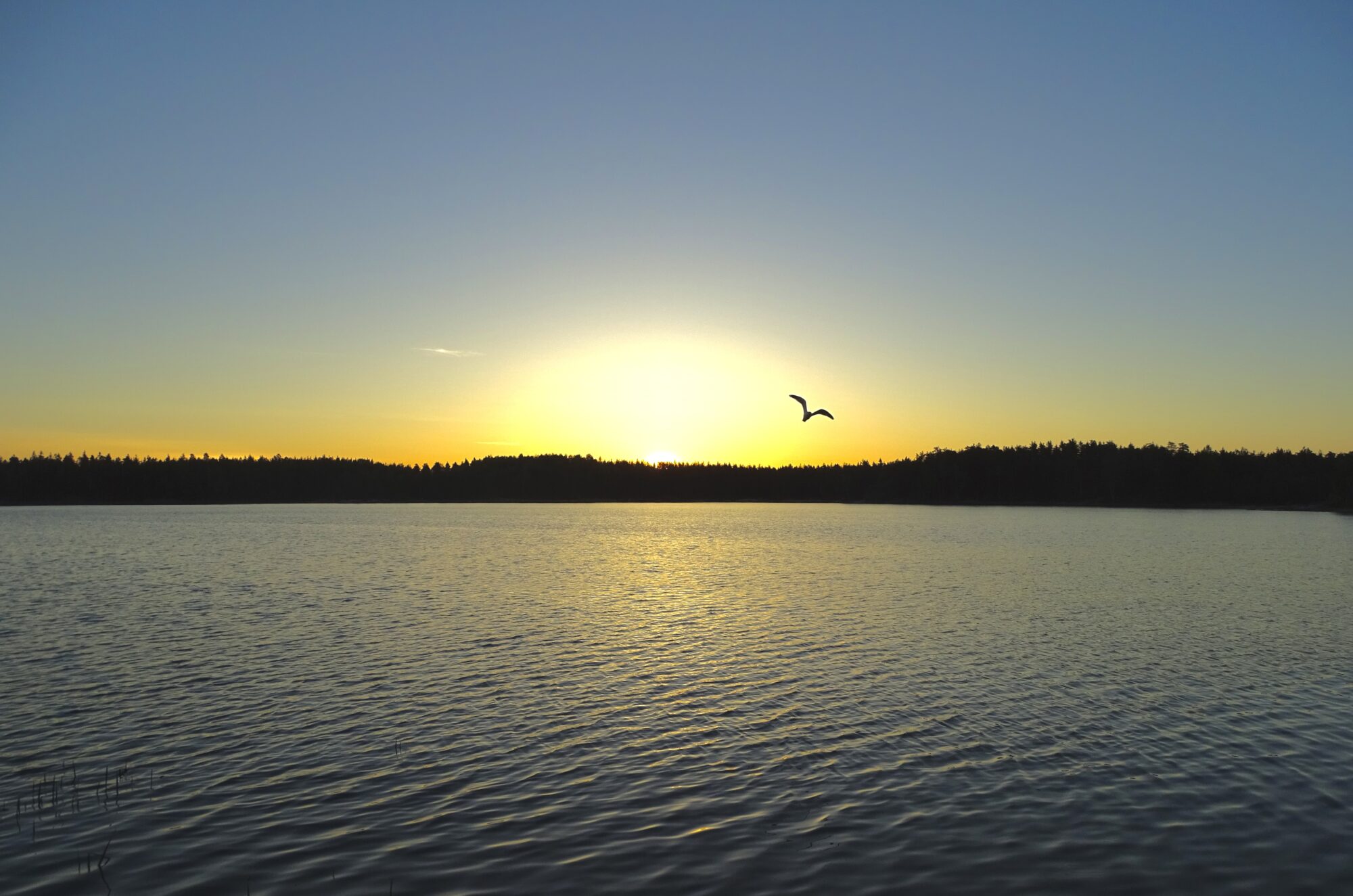 Valokuvaaja: Juhani Peltonen Valokuvaaja: Juhani Peltonen