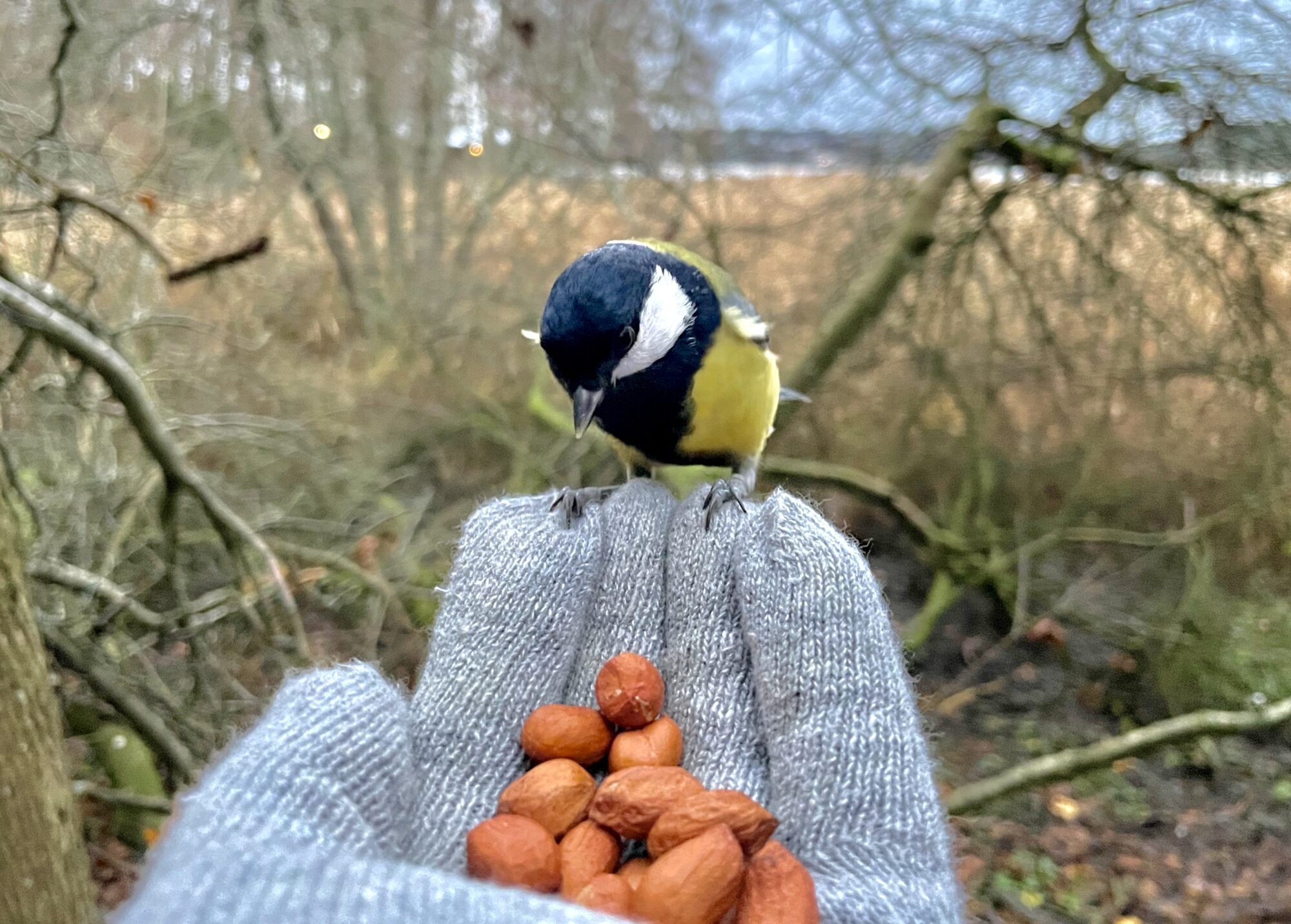 Valokuvaaja: Juhani Peltonen