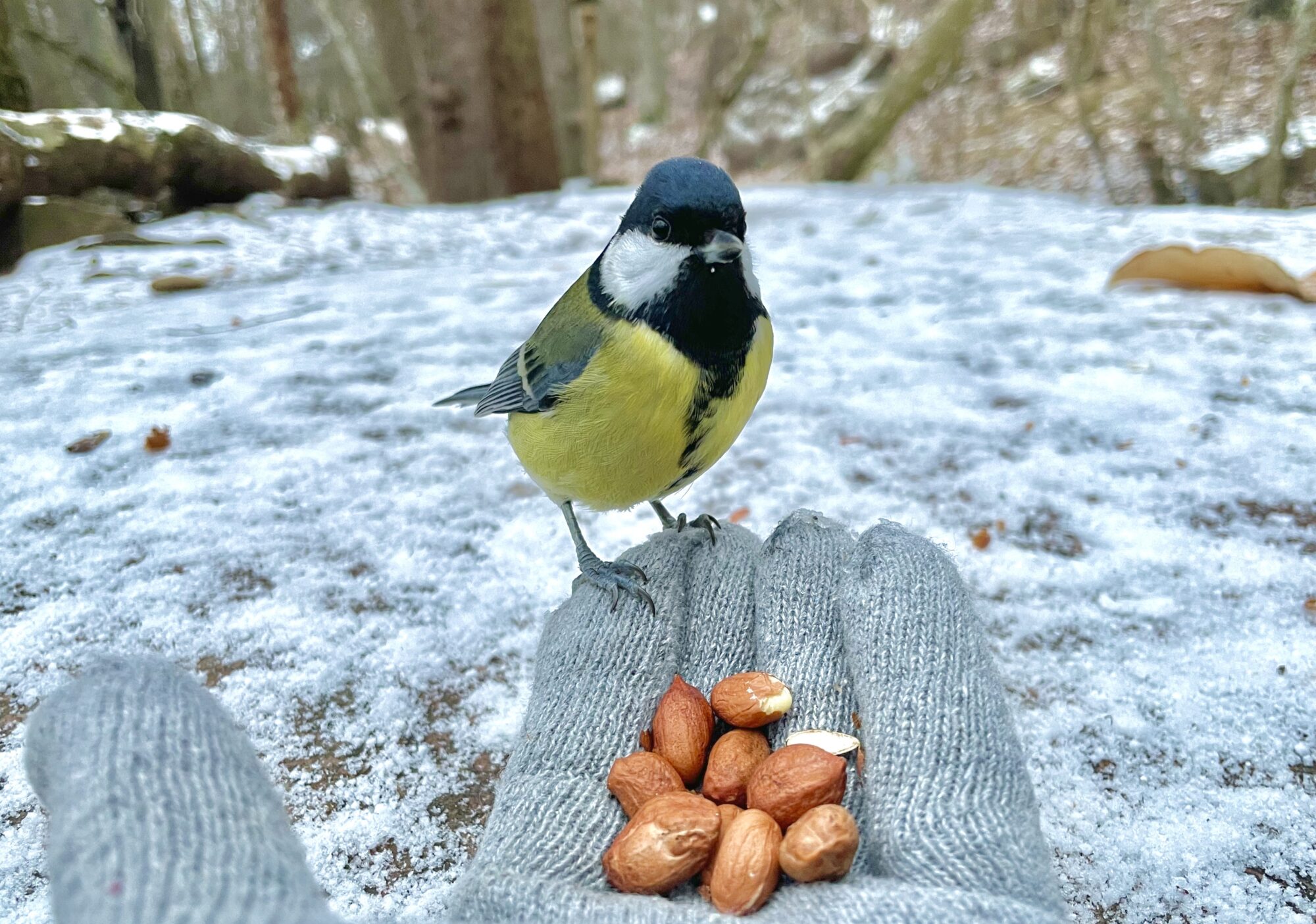 Valokuvaaja: Juhani Peltonen