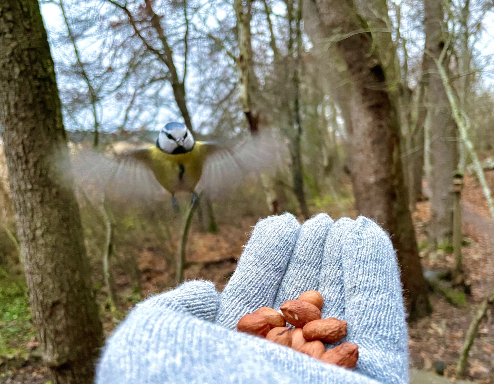 Valokuvaaja: Juhani Peltonen