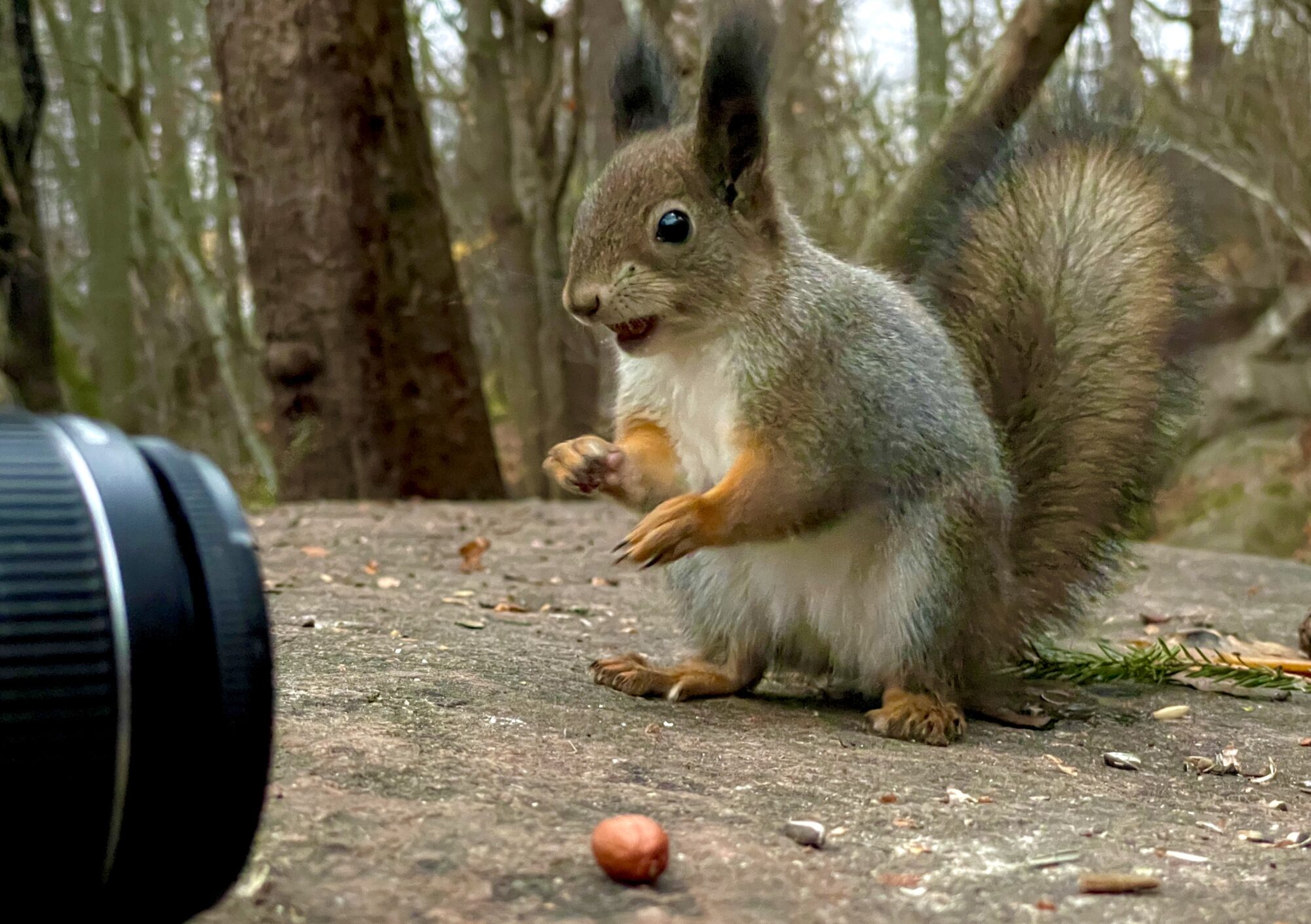 Valokuvaaja: Juhani Peltonen Valokuvaaja: Juhani Peltonen