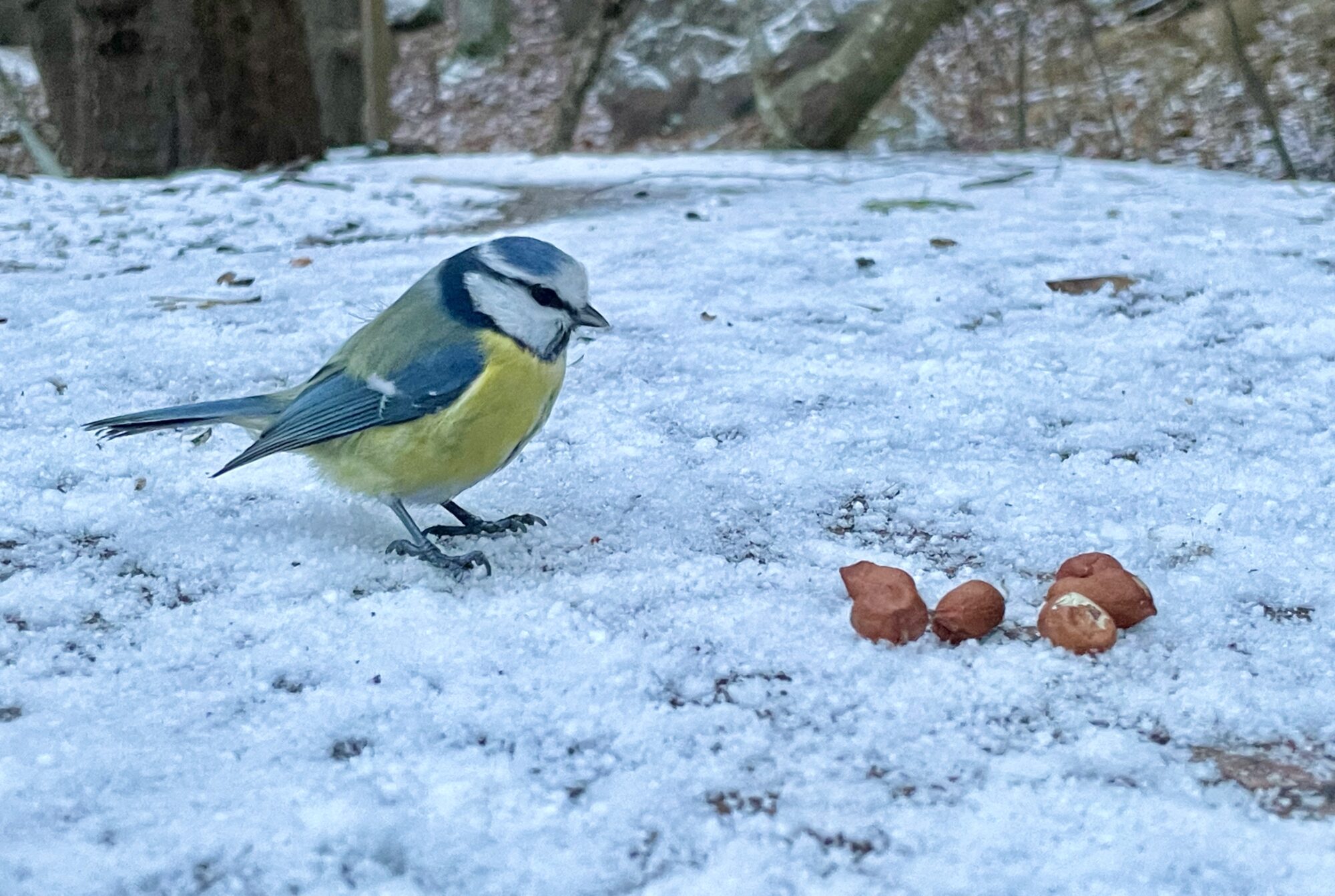 Valokuvaaja: Juhani Peltonen