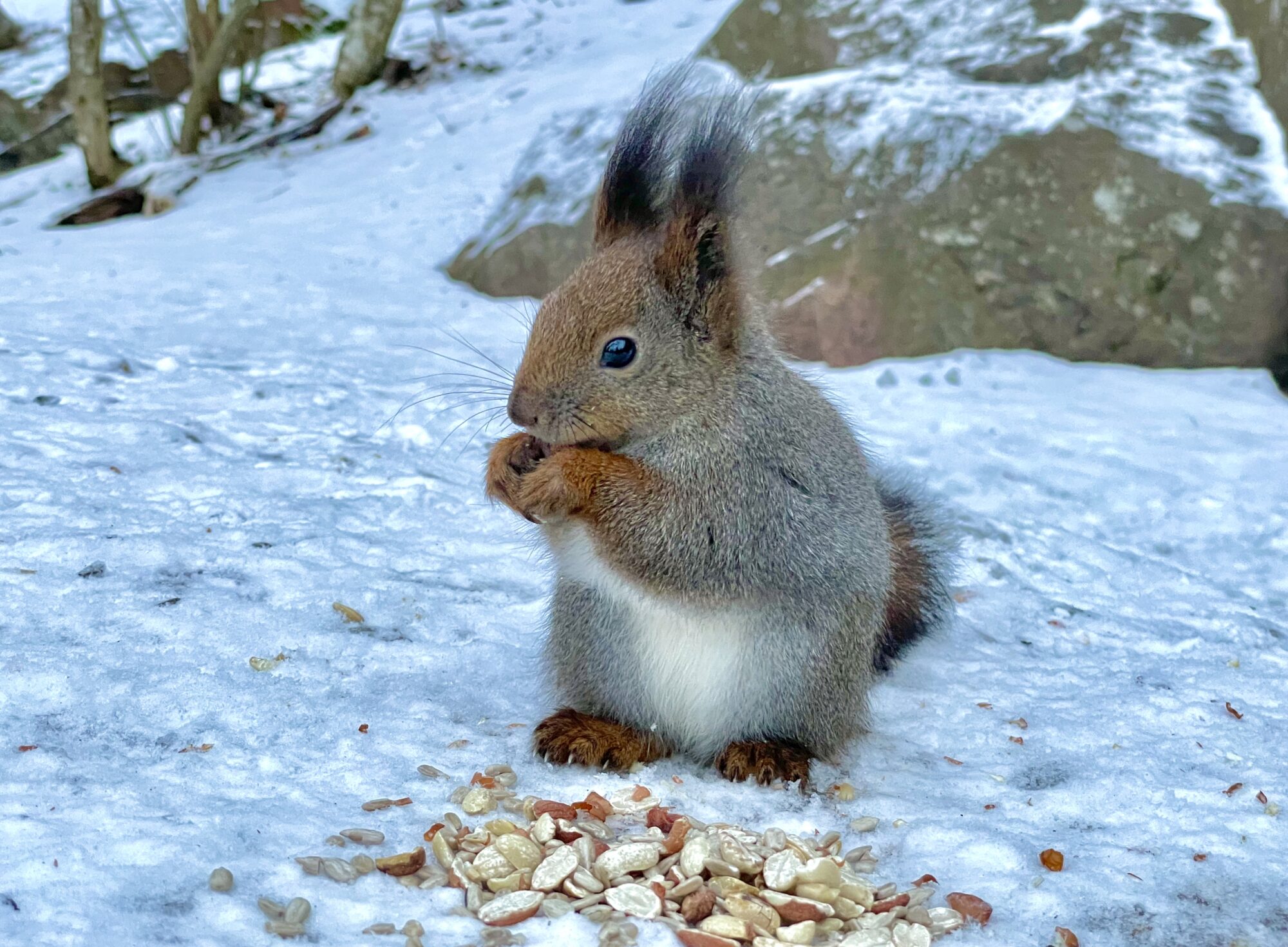 Valokuvaaja: Juhani Peltonen