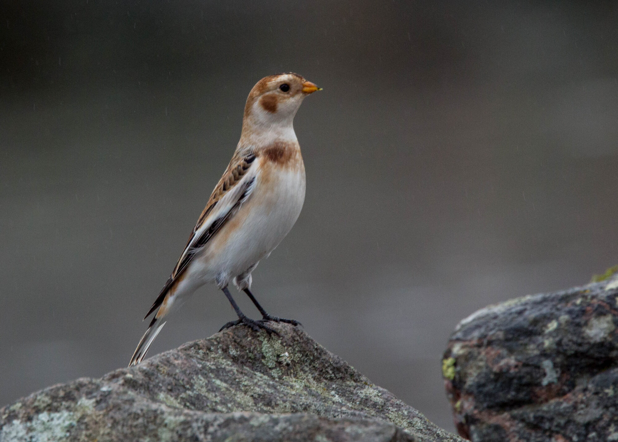 Valokuvaaja: Markku Salonen