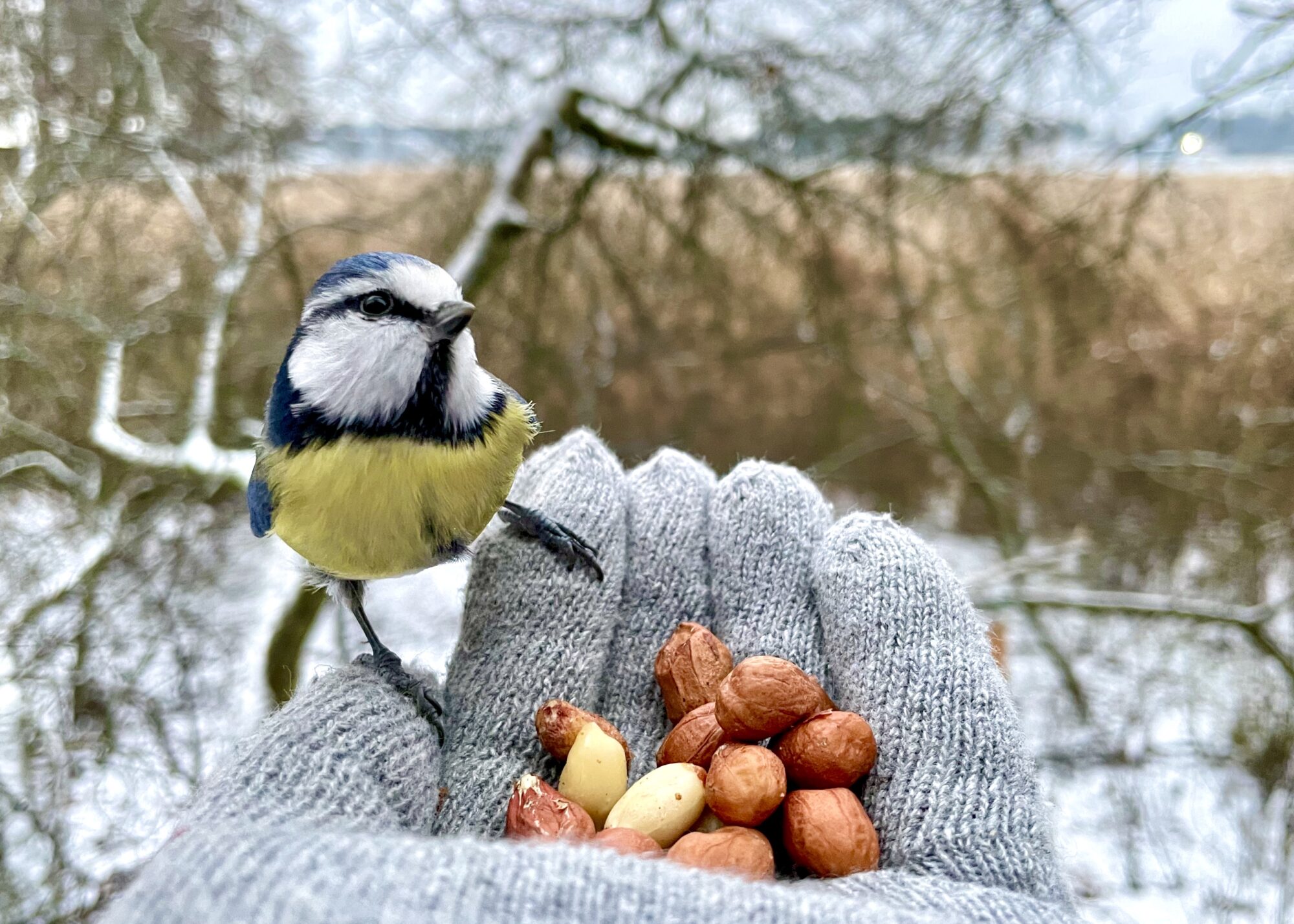 Valokuvaaja: Juhani Peltonen