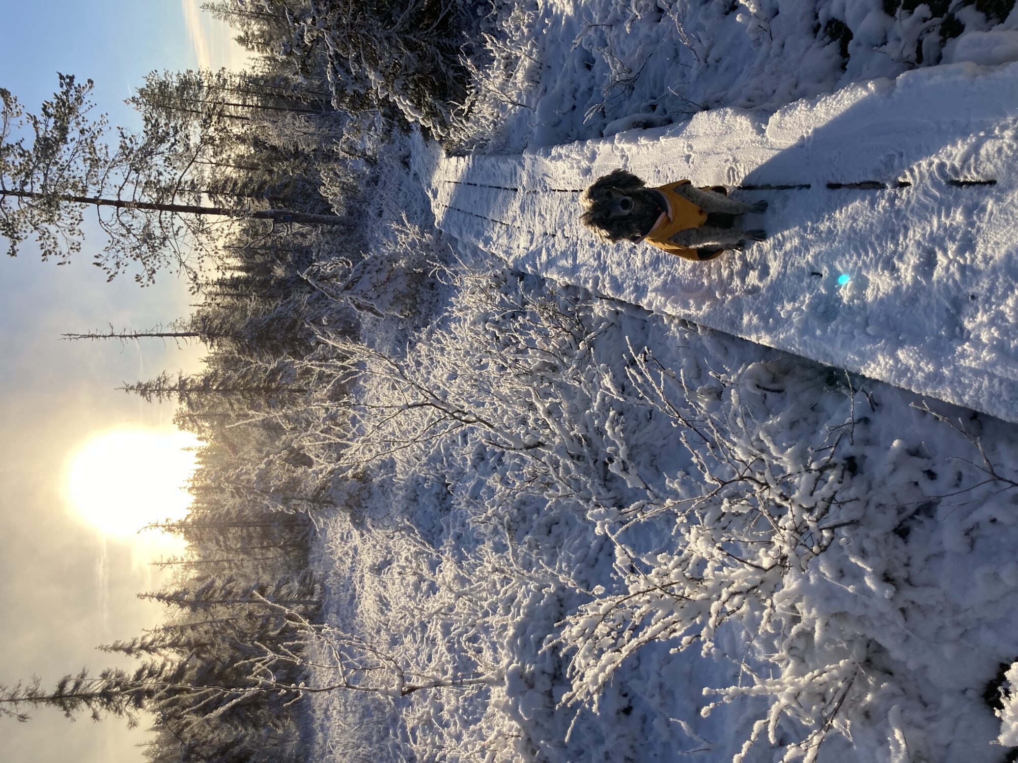 Valokuvaaja: Pia Kotiranta