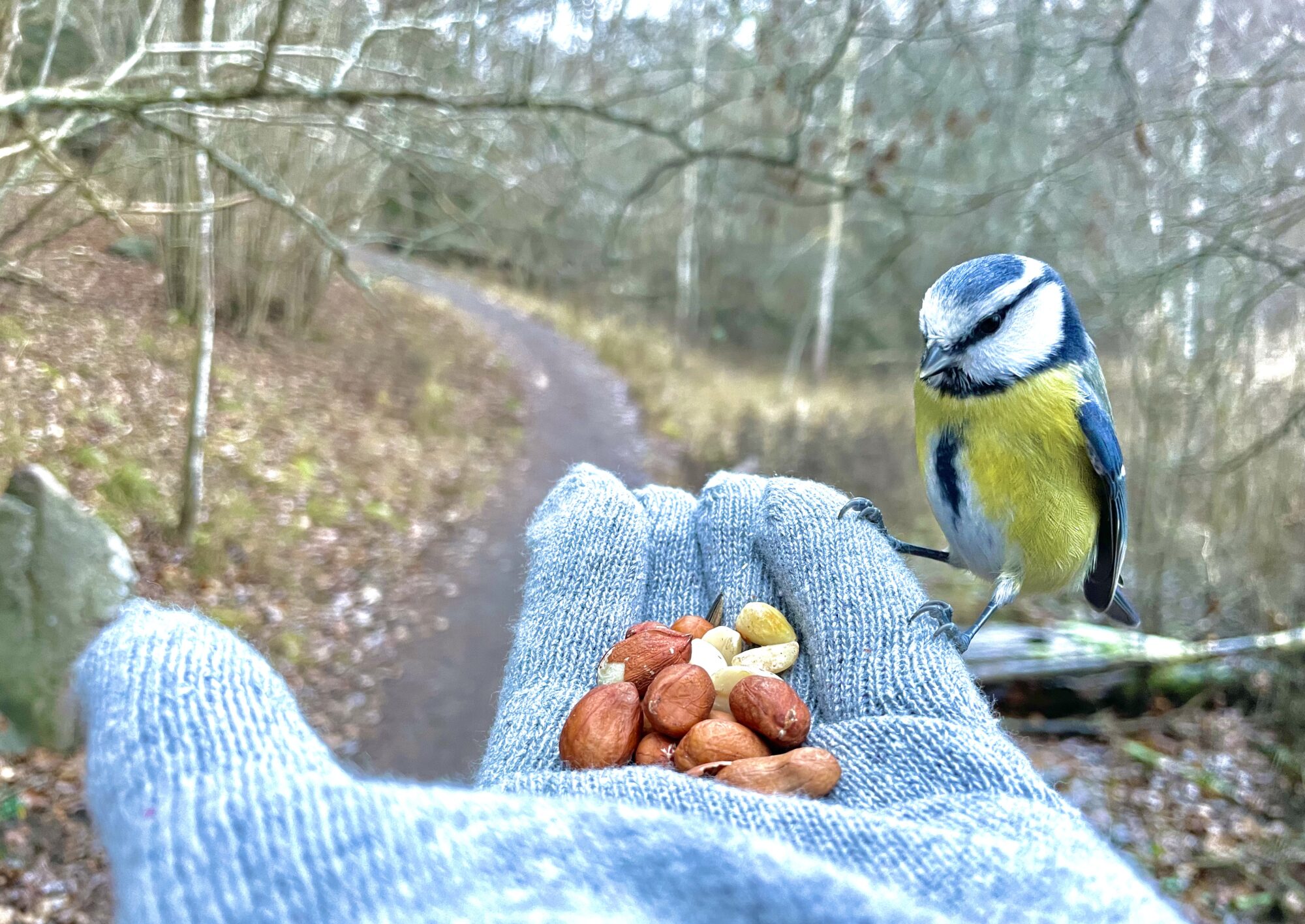 Valokuvaaja: Juhani Peltonen