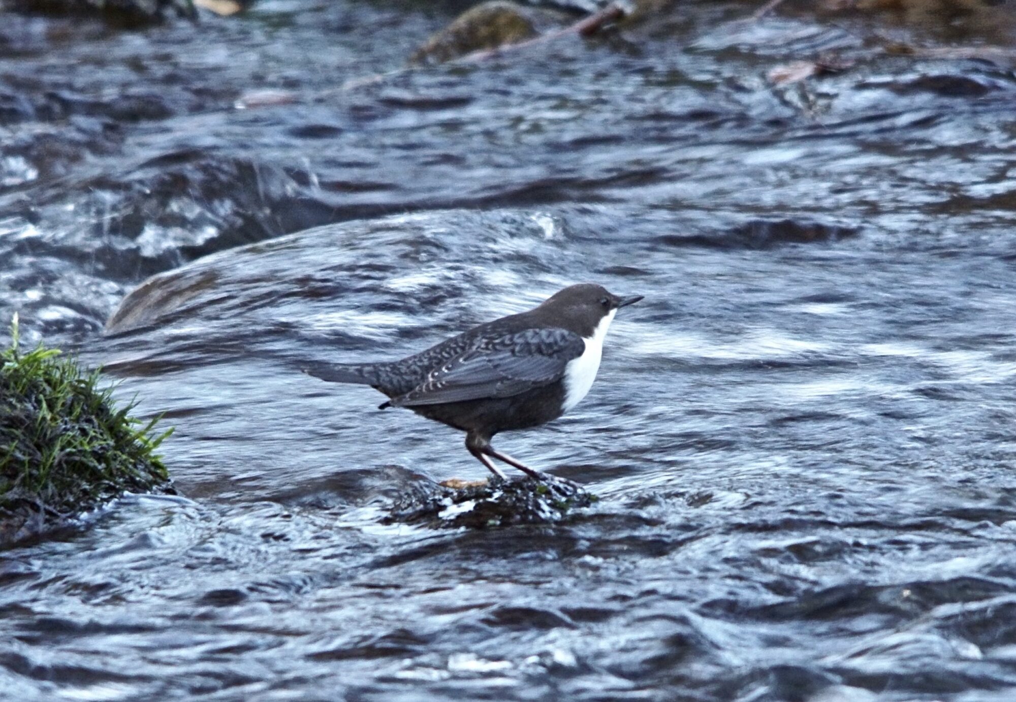 Valokuvaaja: Markku Ranta-Eilola