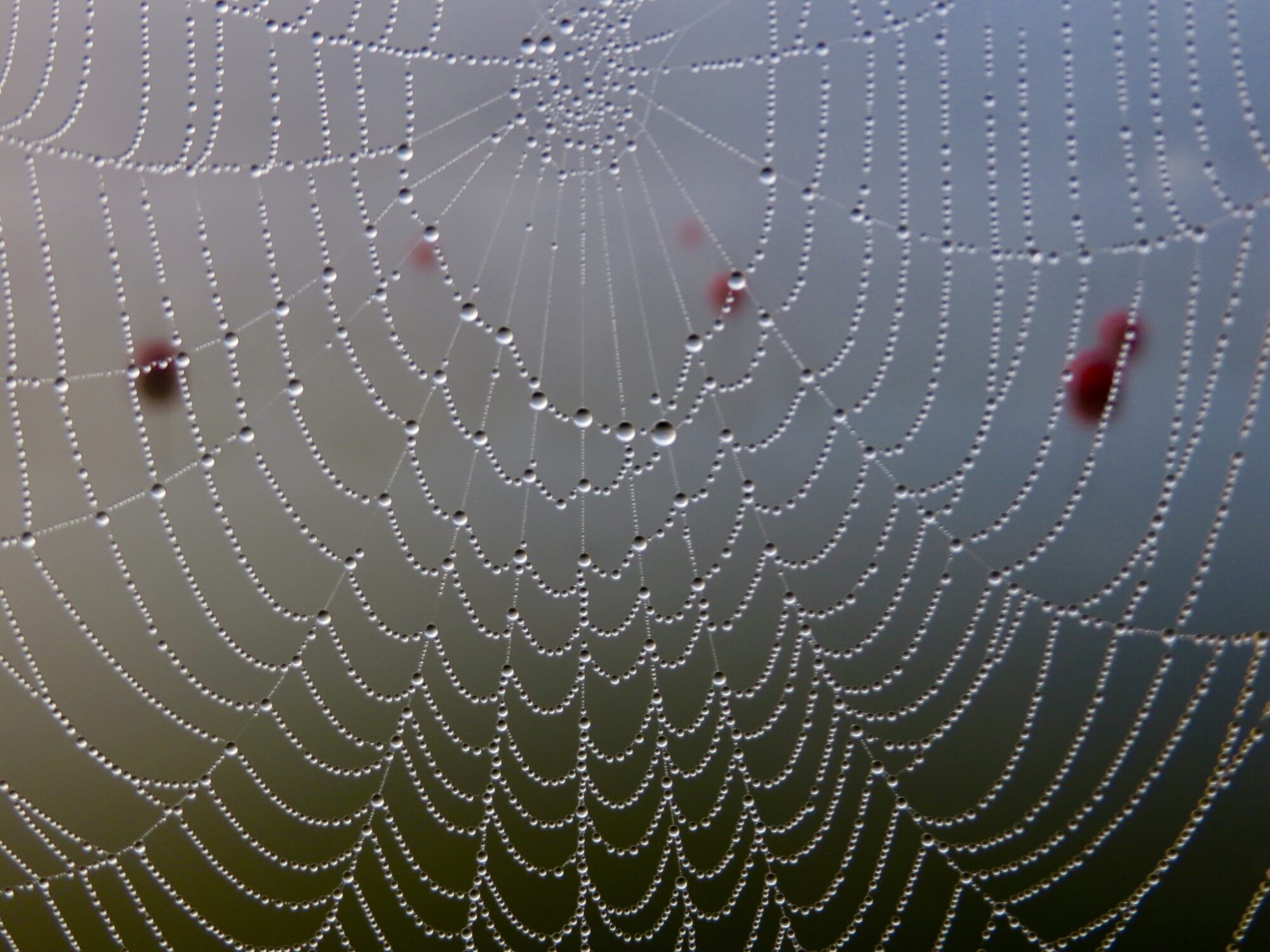 Valokuvaaja: Juhani Peltonen