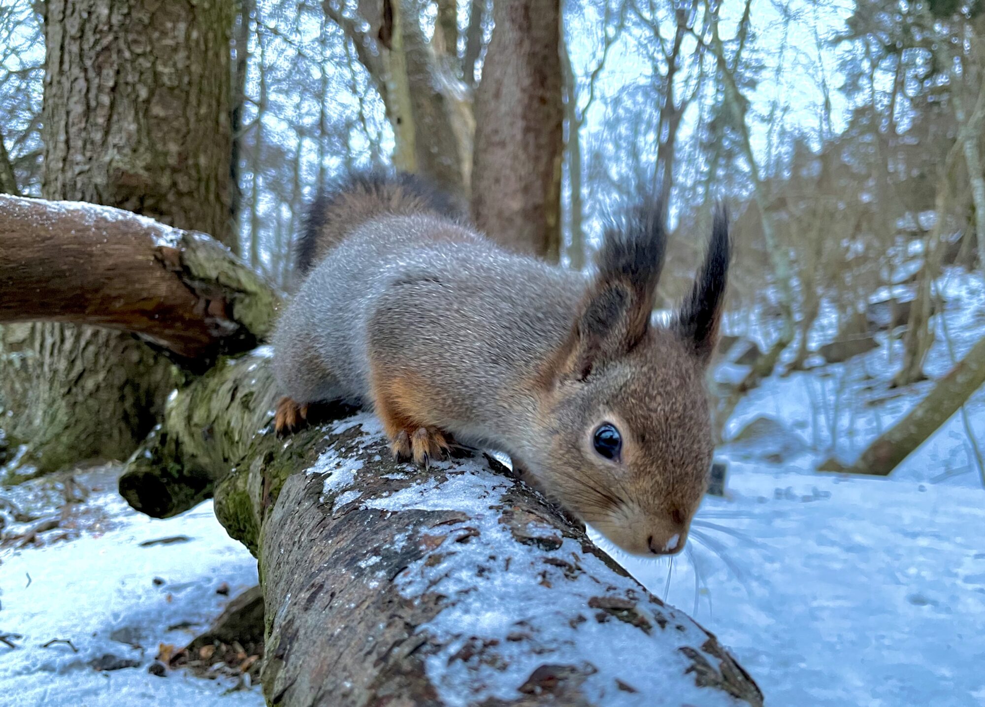Valokuvaaja: Juhani Peltonen