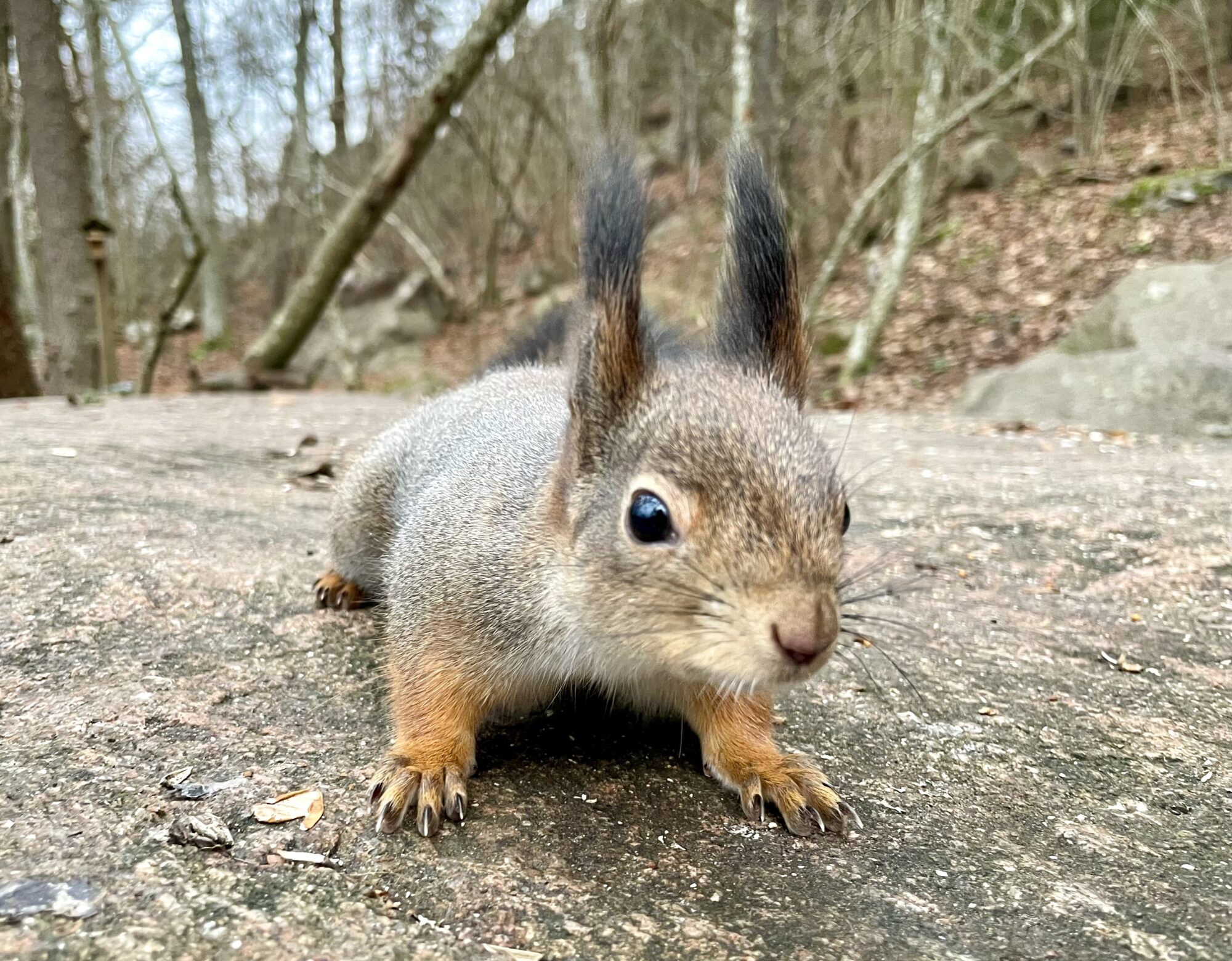 Valokuvaaja: Juhani Peltonen