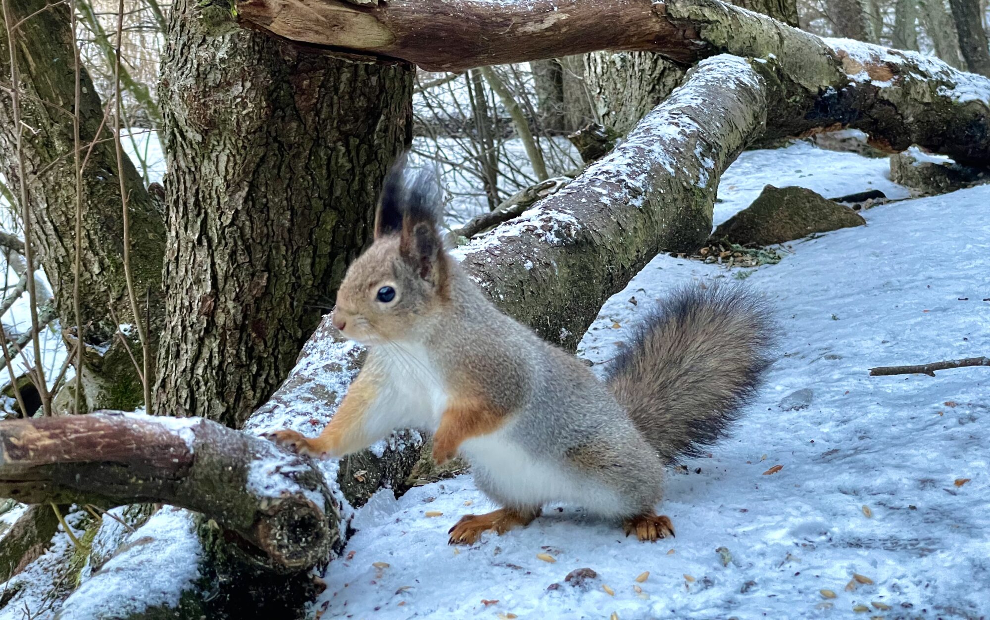 Valokuvaaja: Juhani Peltonen