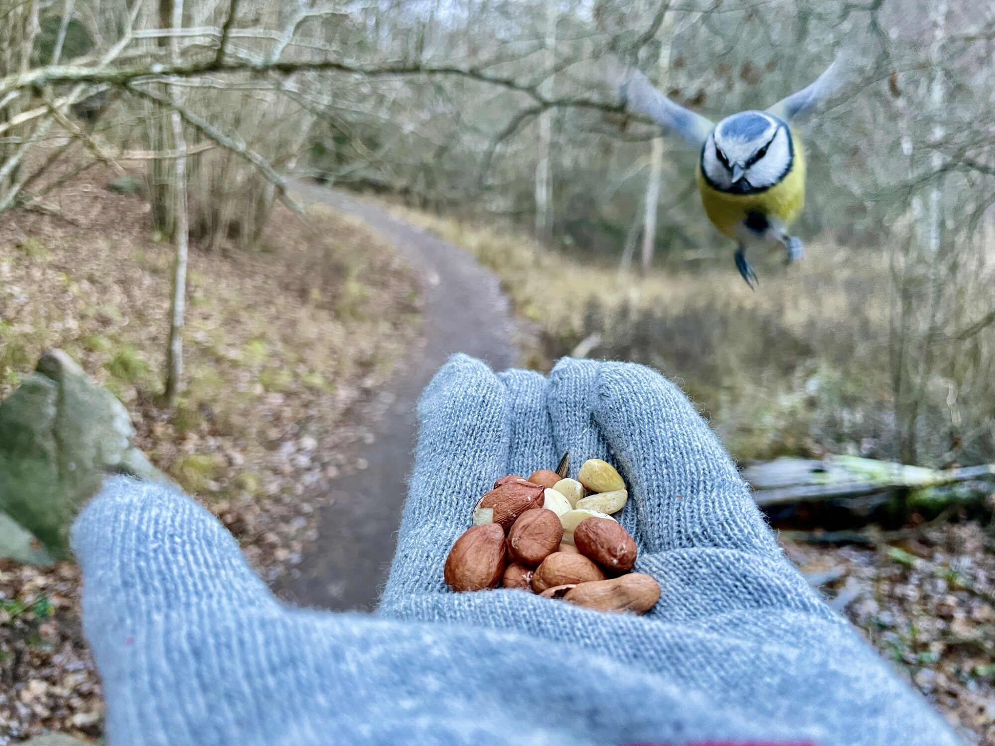 Valokuvaaja: Juhani Peltonen