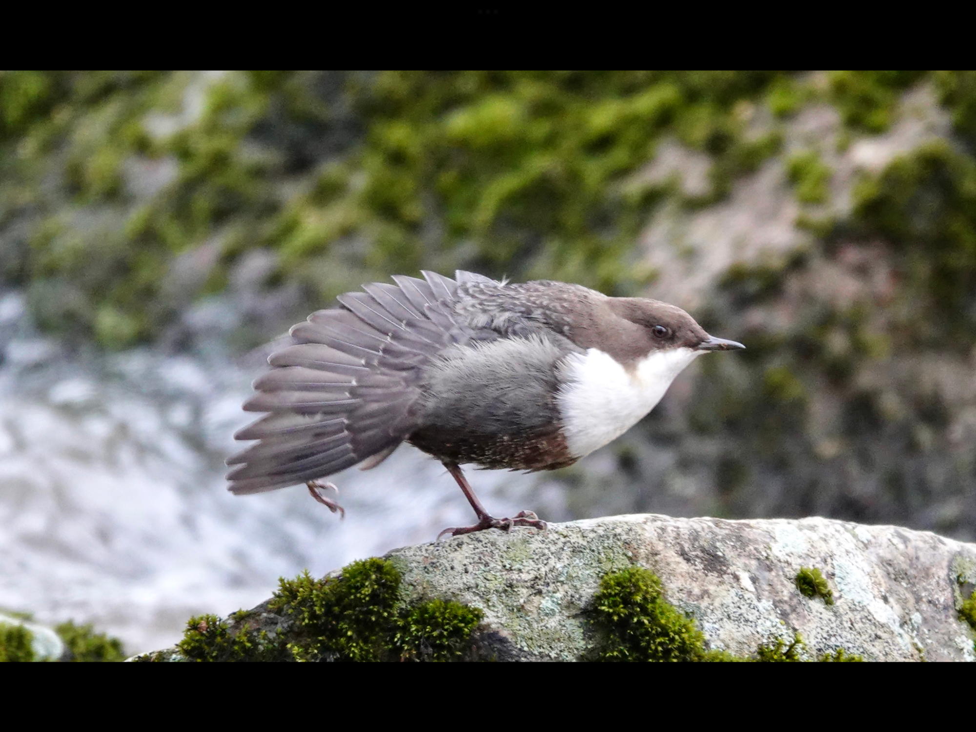 Valokuvaaja: Juha Naukkarinen