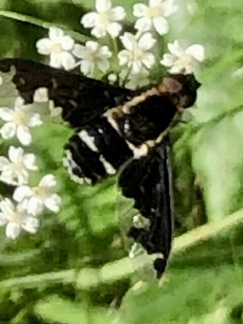 Valokuvaaja: Marjukka Halonen