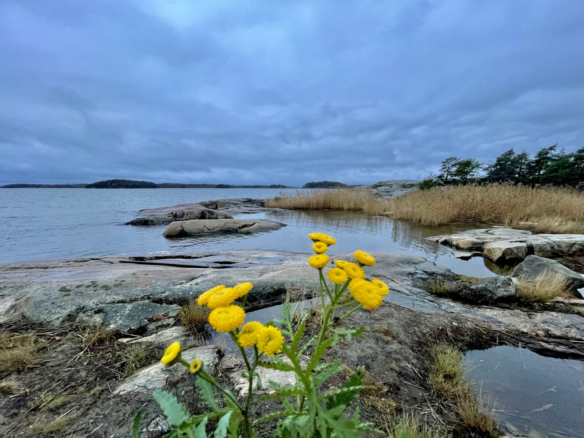 Valokuvaaja: Juhani Peltonen