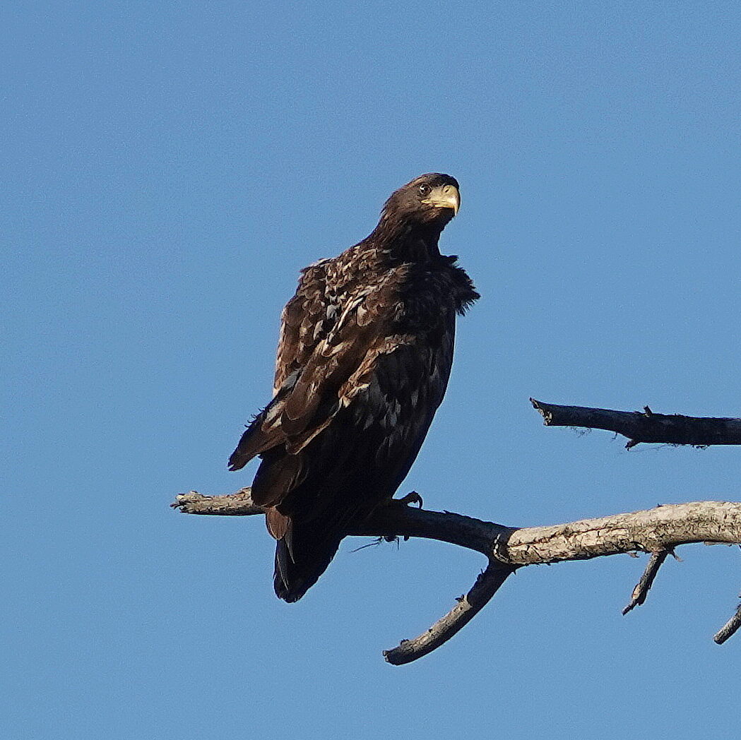 Valokuvaaja: Raija  Oksanen