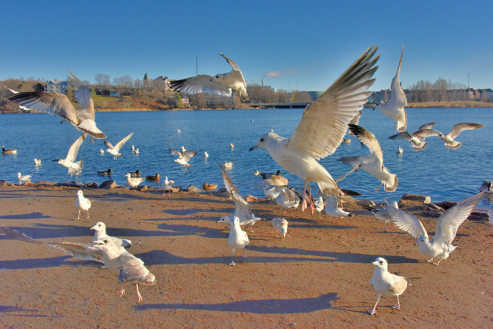 Valokuvaaja: Reijo Juurinen