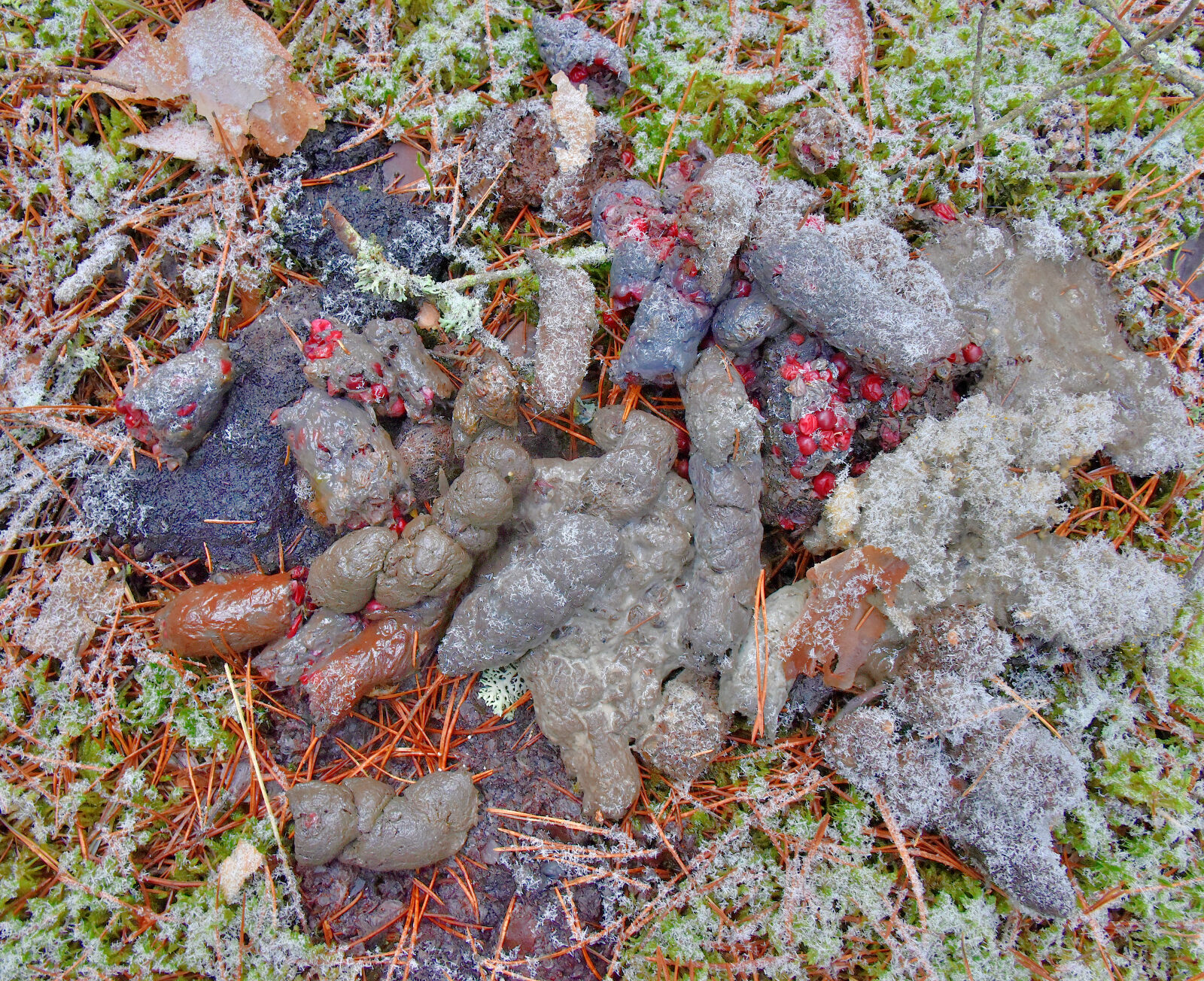 Valokuvaaja: Reijo Juurinen