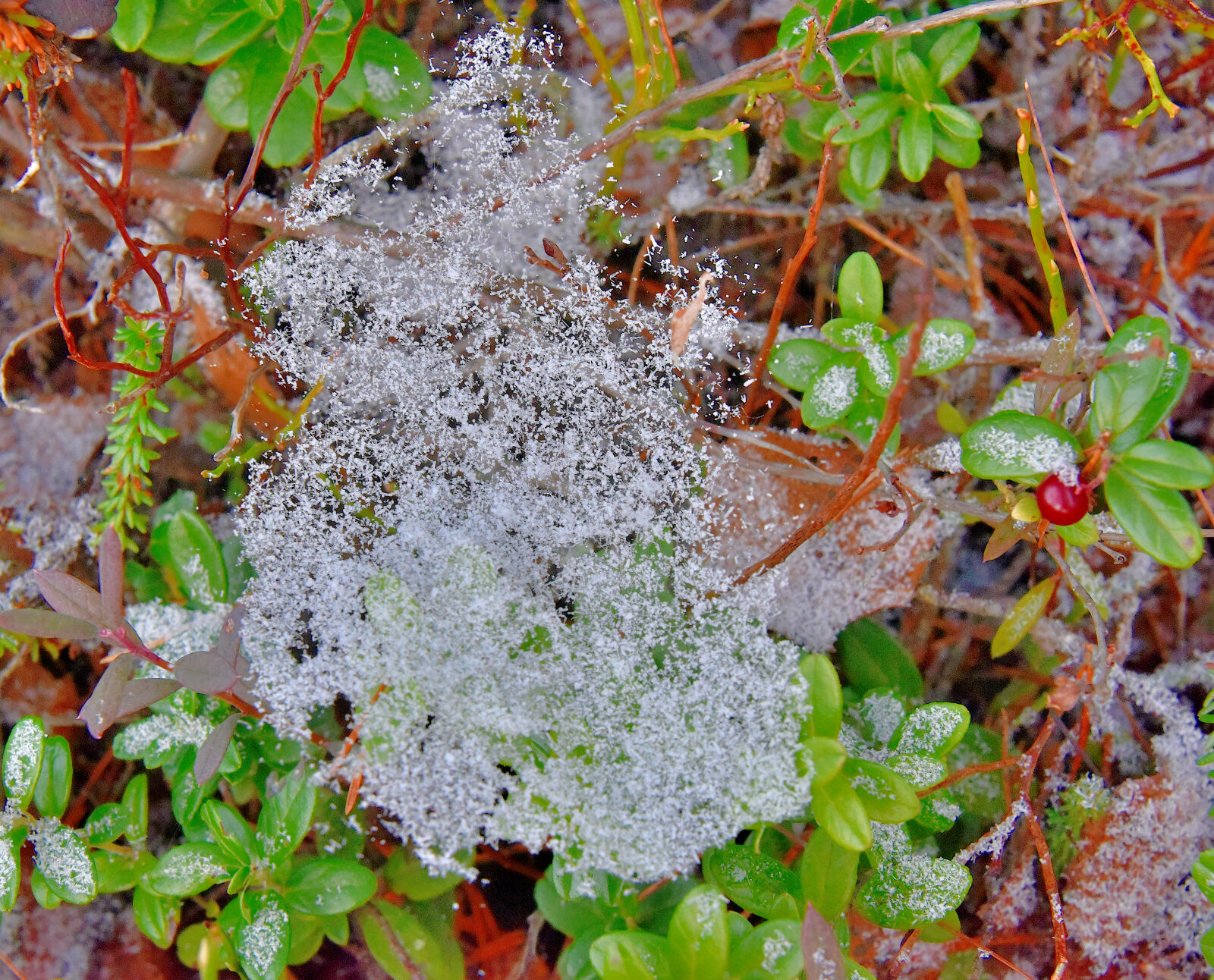 Valokuvaaja: Reijo Juurinen