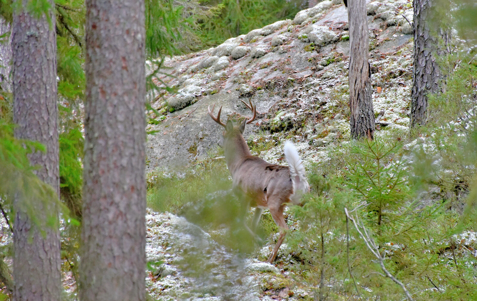 Valokuvaaja: Reijo Juurinen