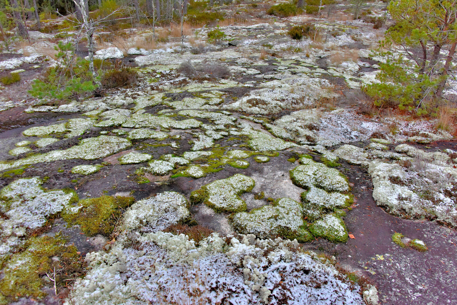 Valokuvaaja: Reijo Juurinen