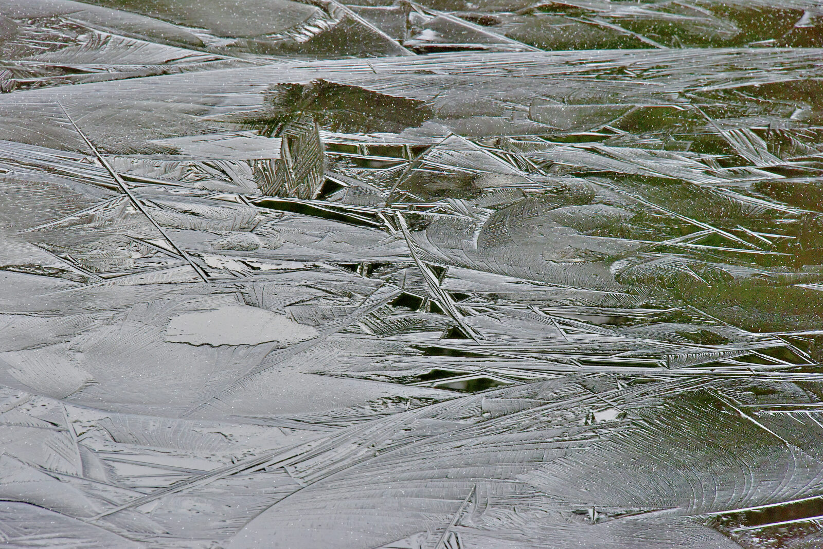 Valokuvaaja: Reijo Juurinen