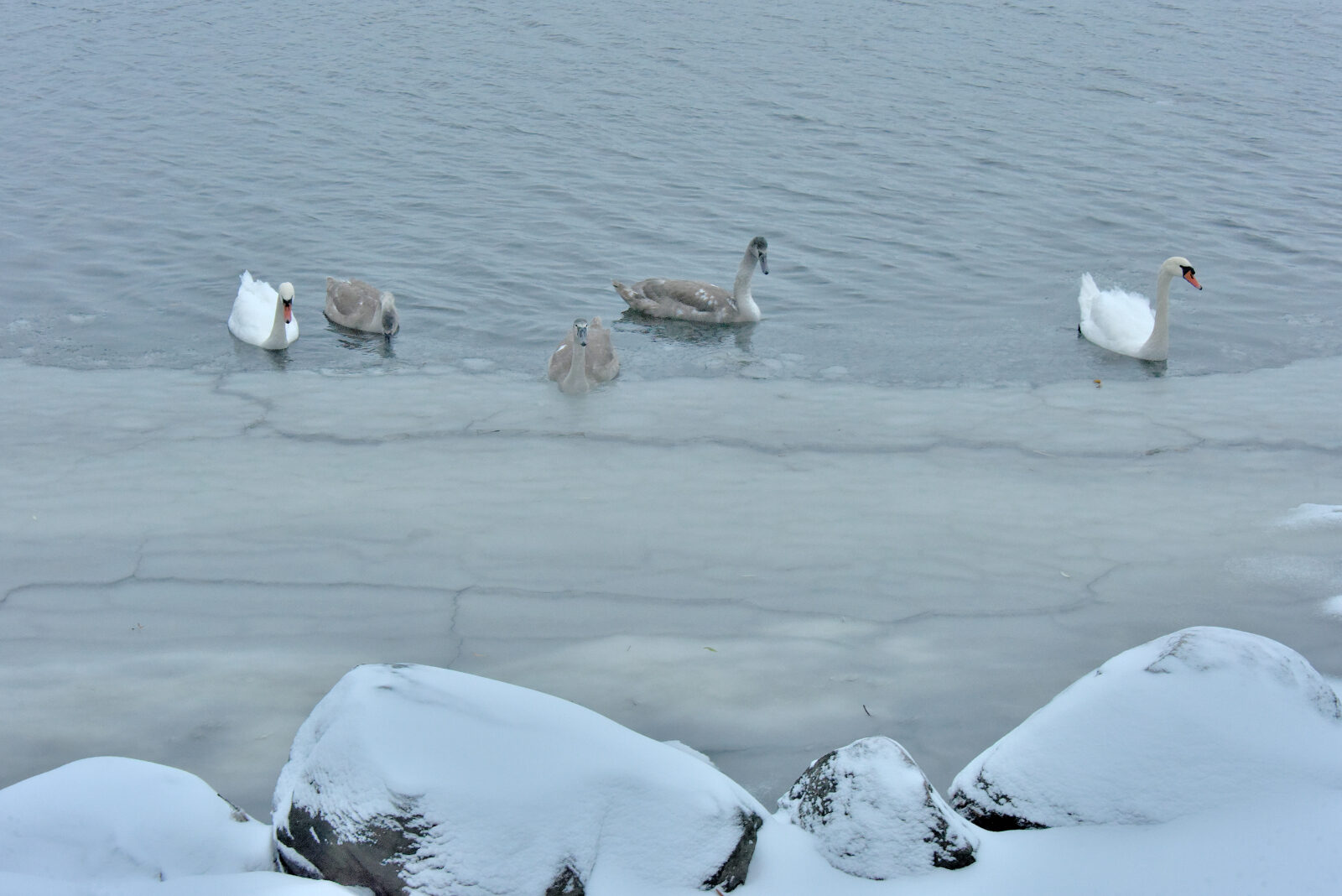 Valokuvaaja: Reijo Juurinen
