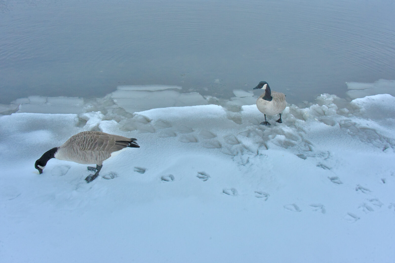 Valokuvaaja: Reijo Juurinen