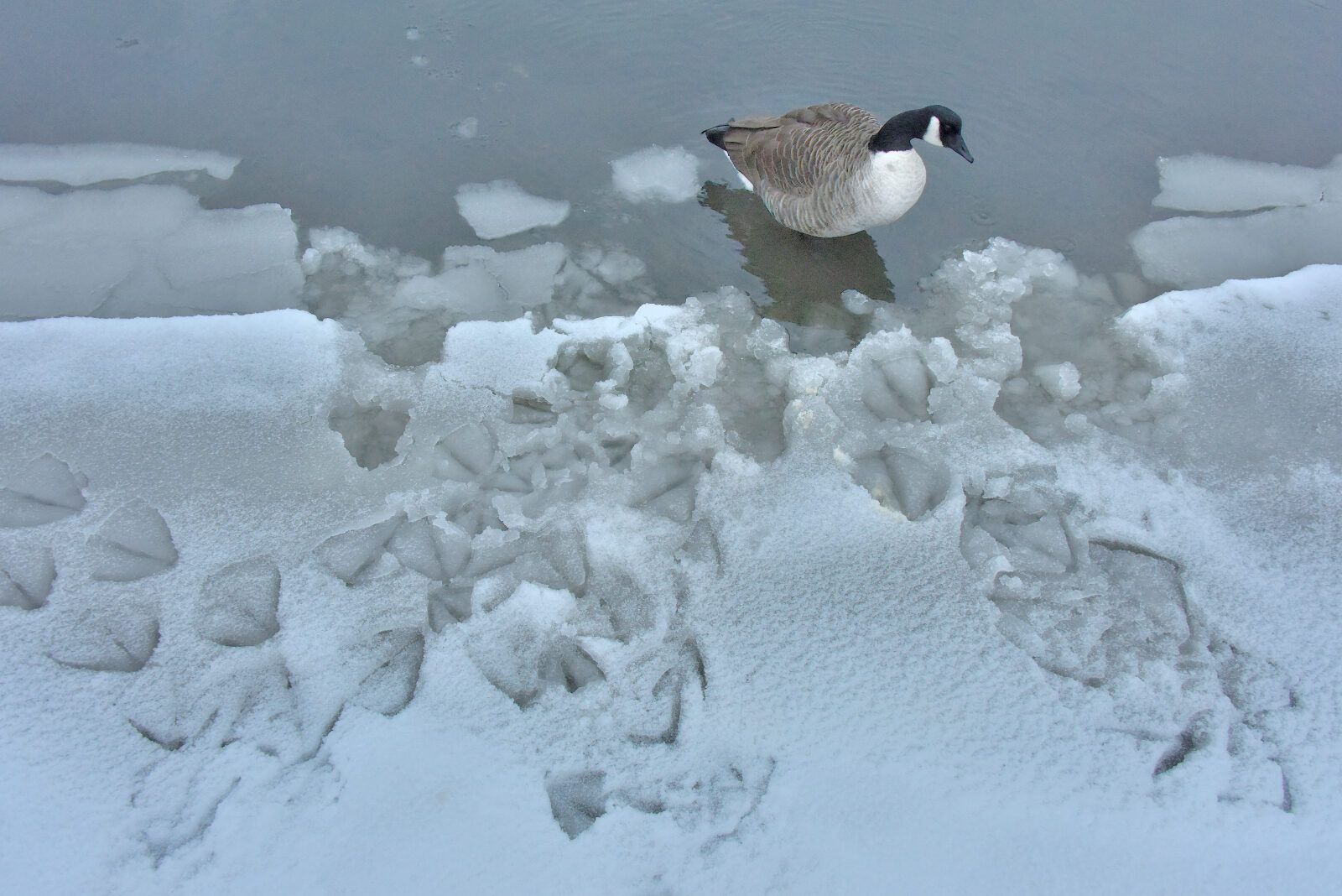Valokuvaaja: Reijo Juurinen