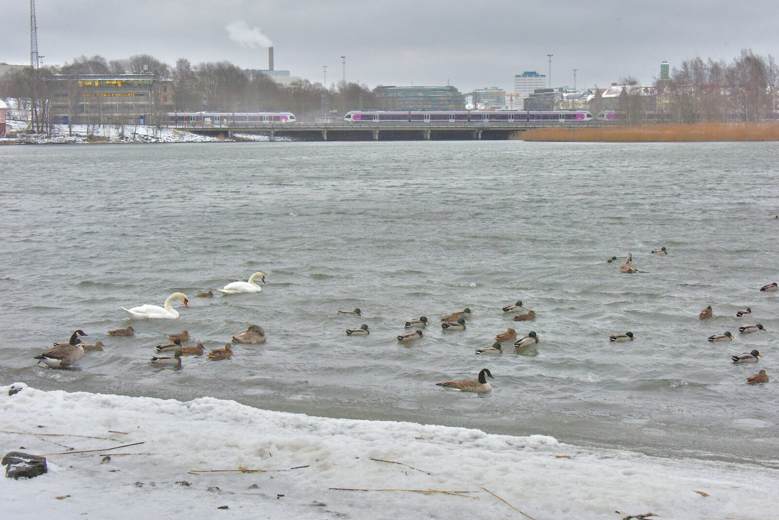 Valokuvaaja: Reijo Juurinen
