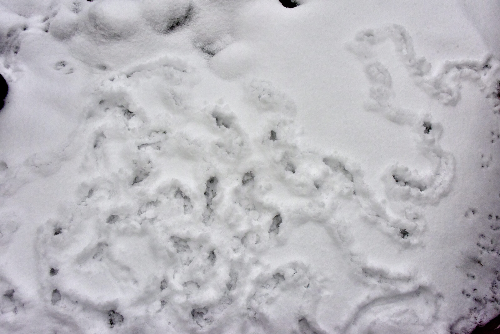 Valokuvaaja: Reijo Juurinen