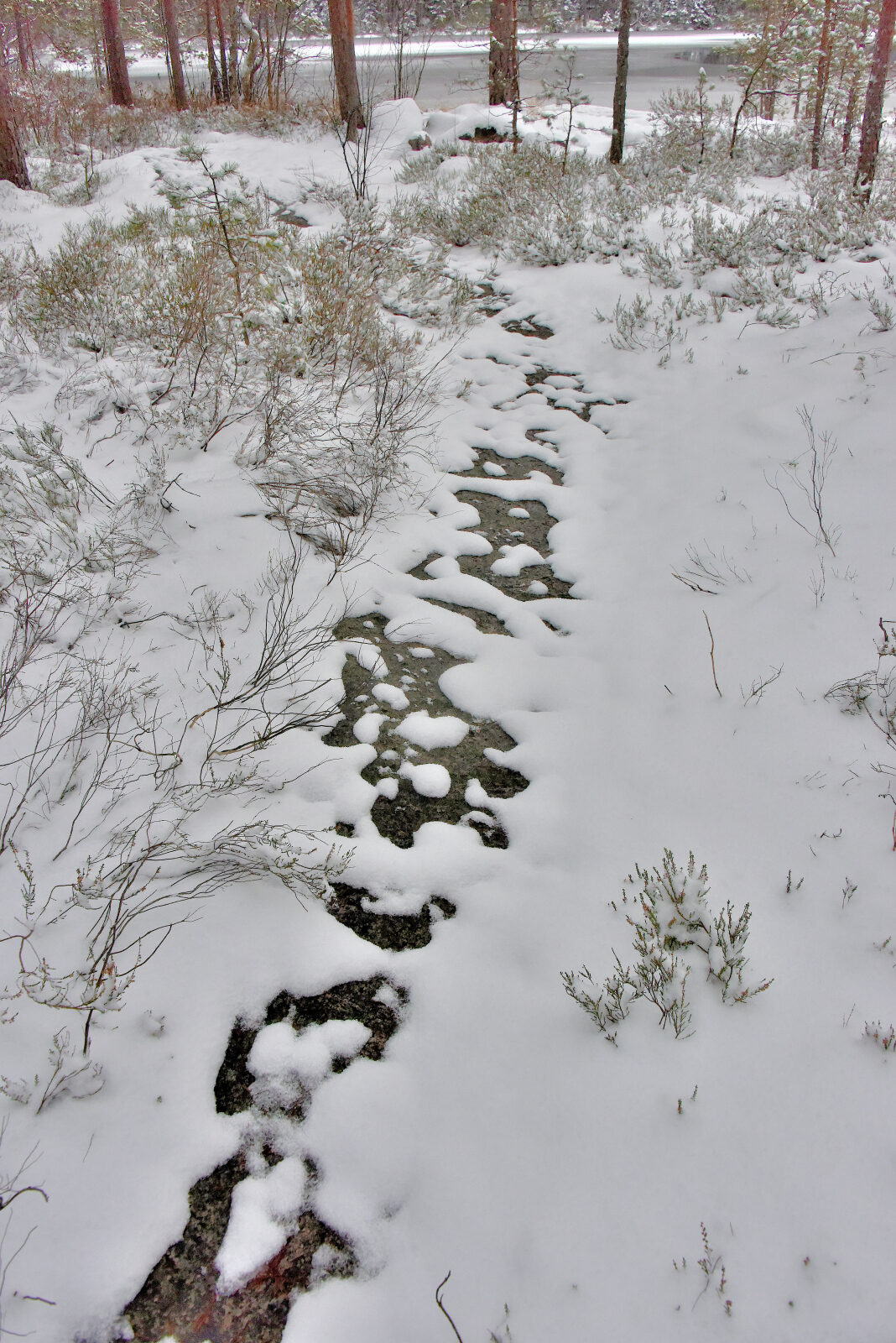 Valokuvaaja: Reijo Juurinen