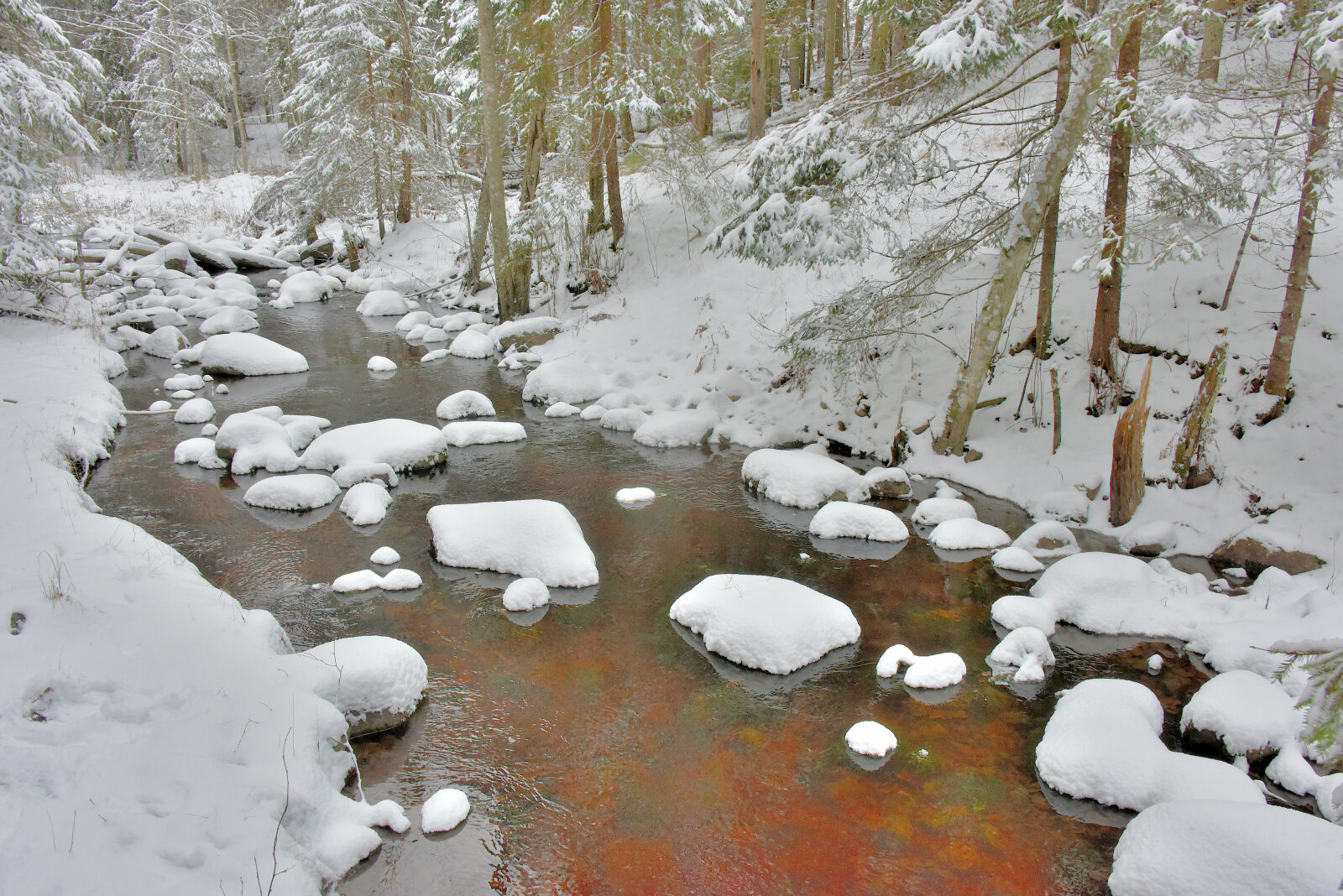 Valokuvaaja: Reijo Juurinen Valokuvaaja: Reijo Juurinen