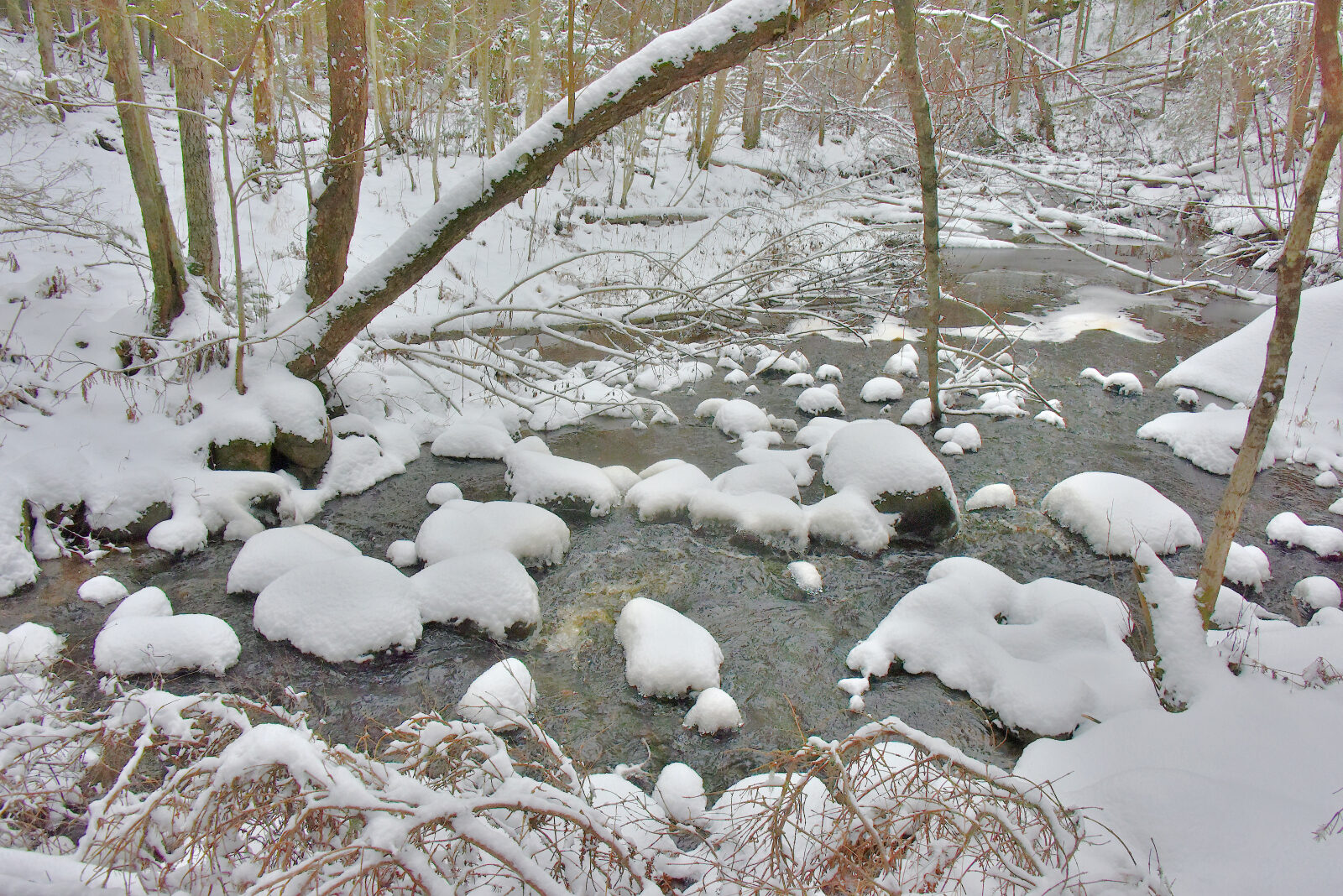 Valokuvaaja: Reijo Juurinen