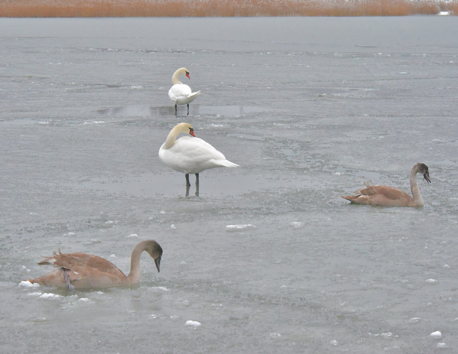 Valokuvaaja: Reijo Juurinen