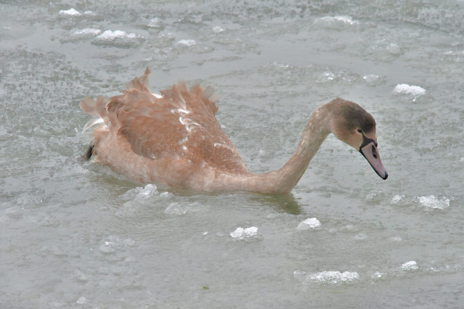 Valokuvaaja: Reijo Juurinen