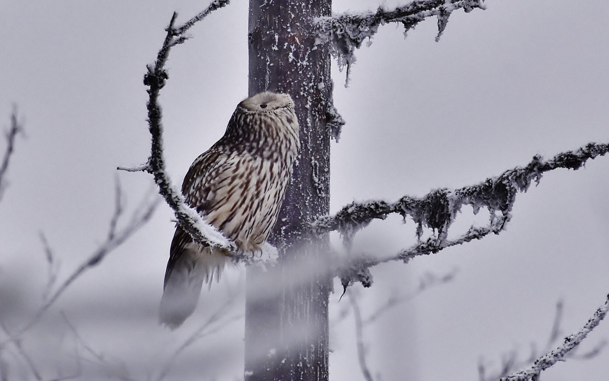 Valokuvaaja: Markku Pelkonen
