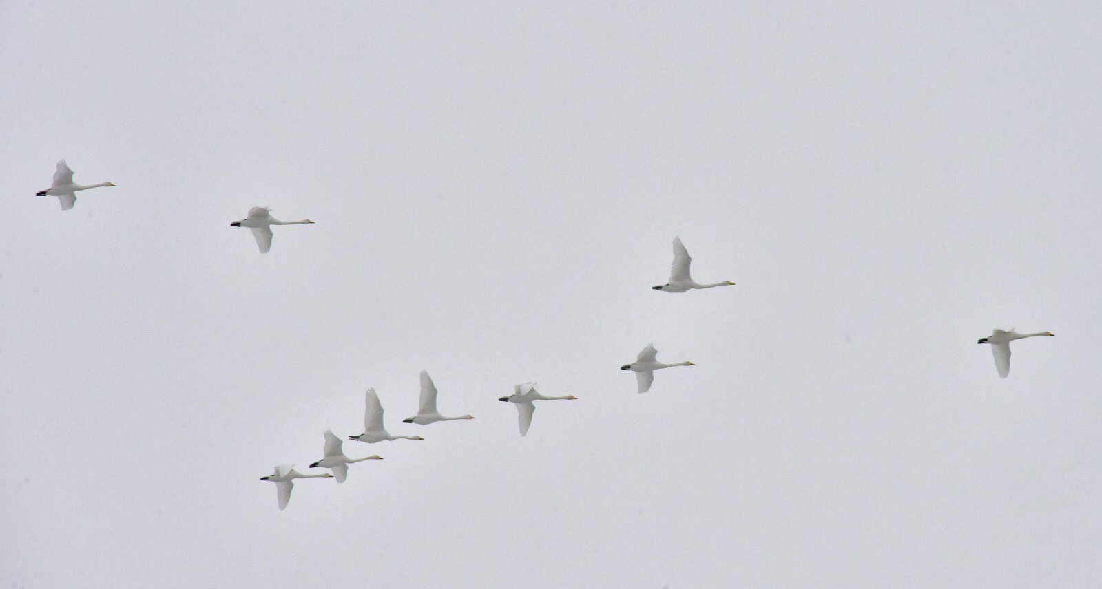 Valokuvaaja: Reijo Juurinen