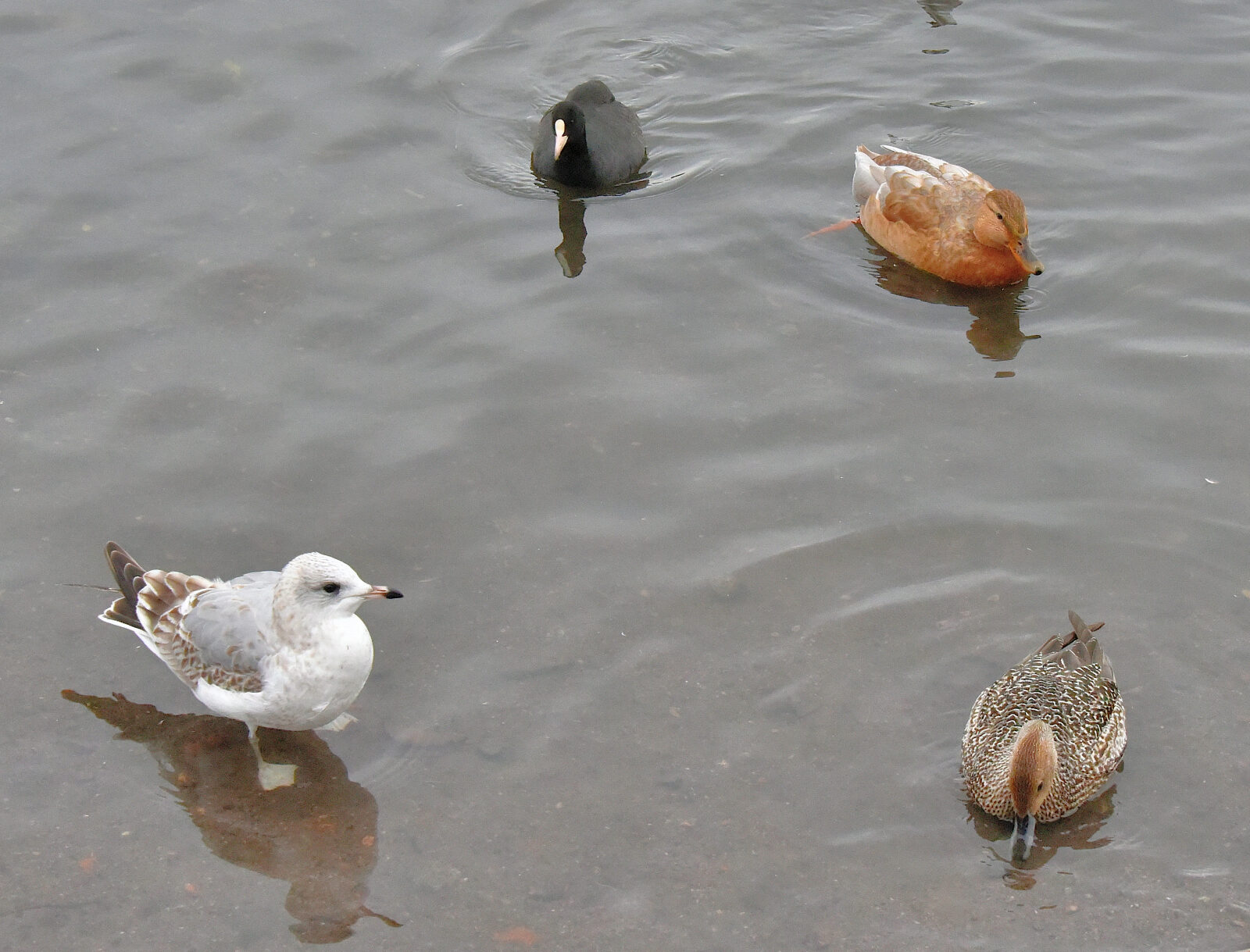 Valokuvaaja: Reijo Juurinen