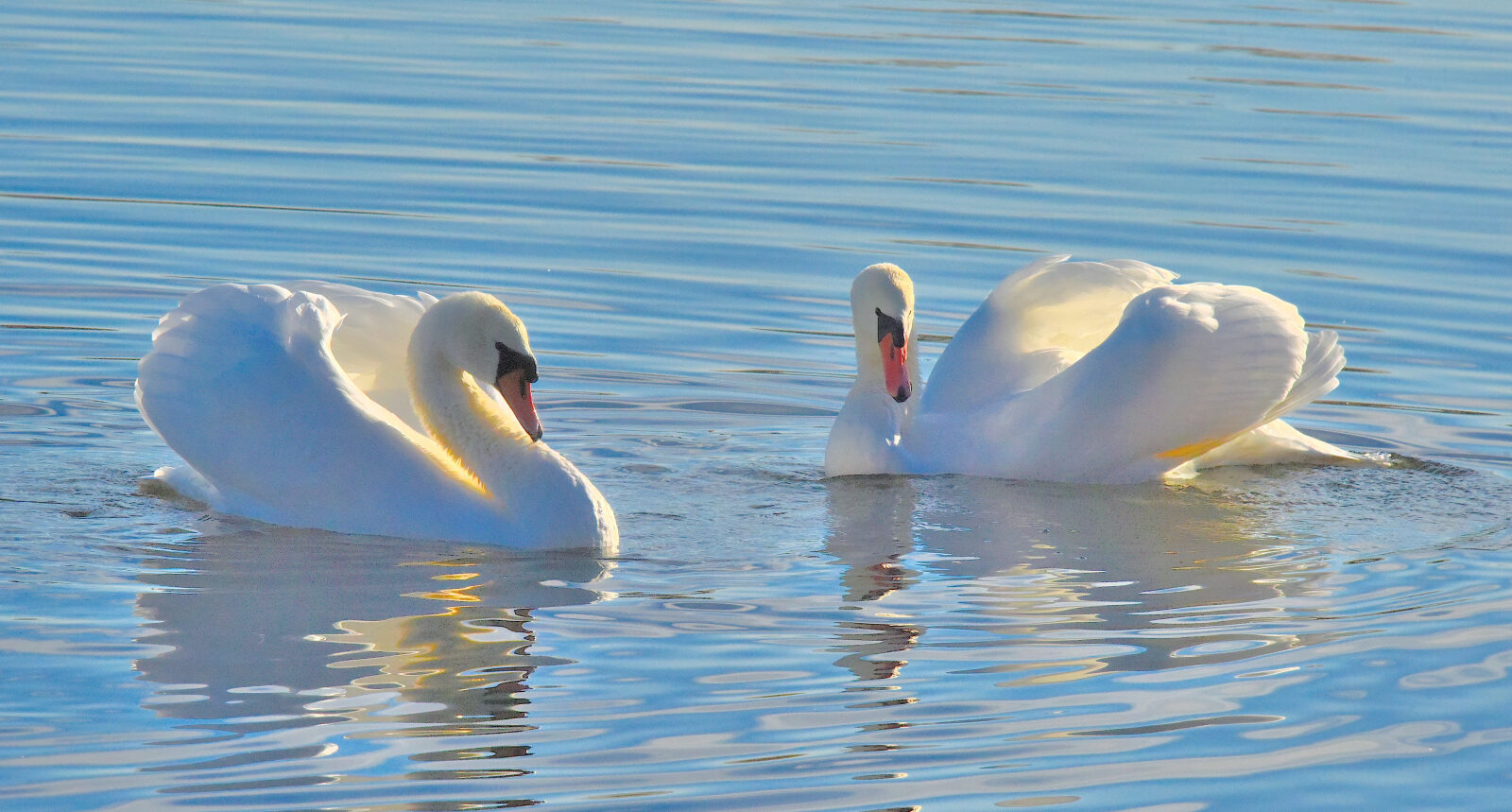 Valokuvaaja: Reijo Juurinen