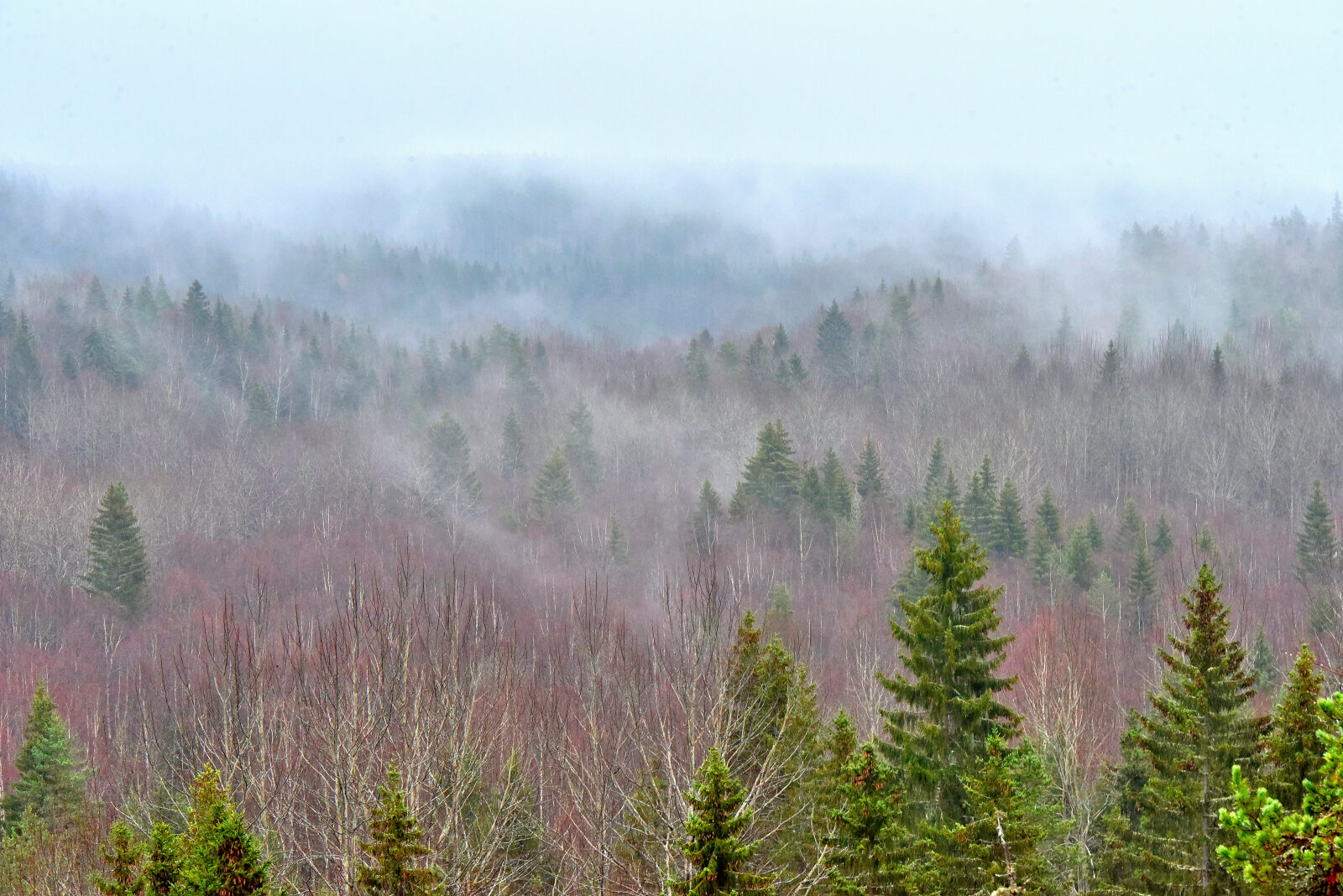 Valokuvaaja: Reijo Juurinen Valokuvaaja: Reijo Juurinen